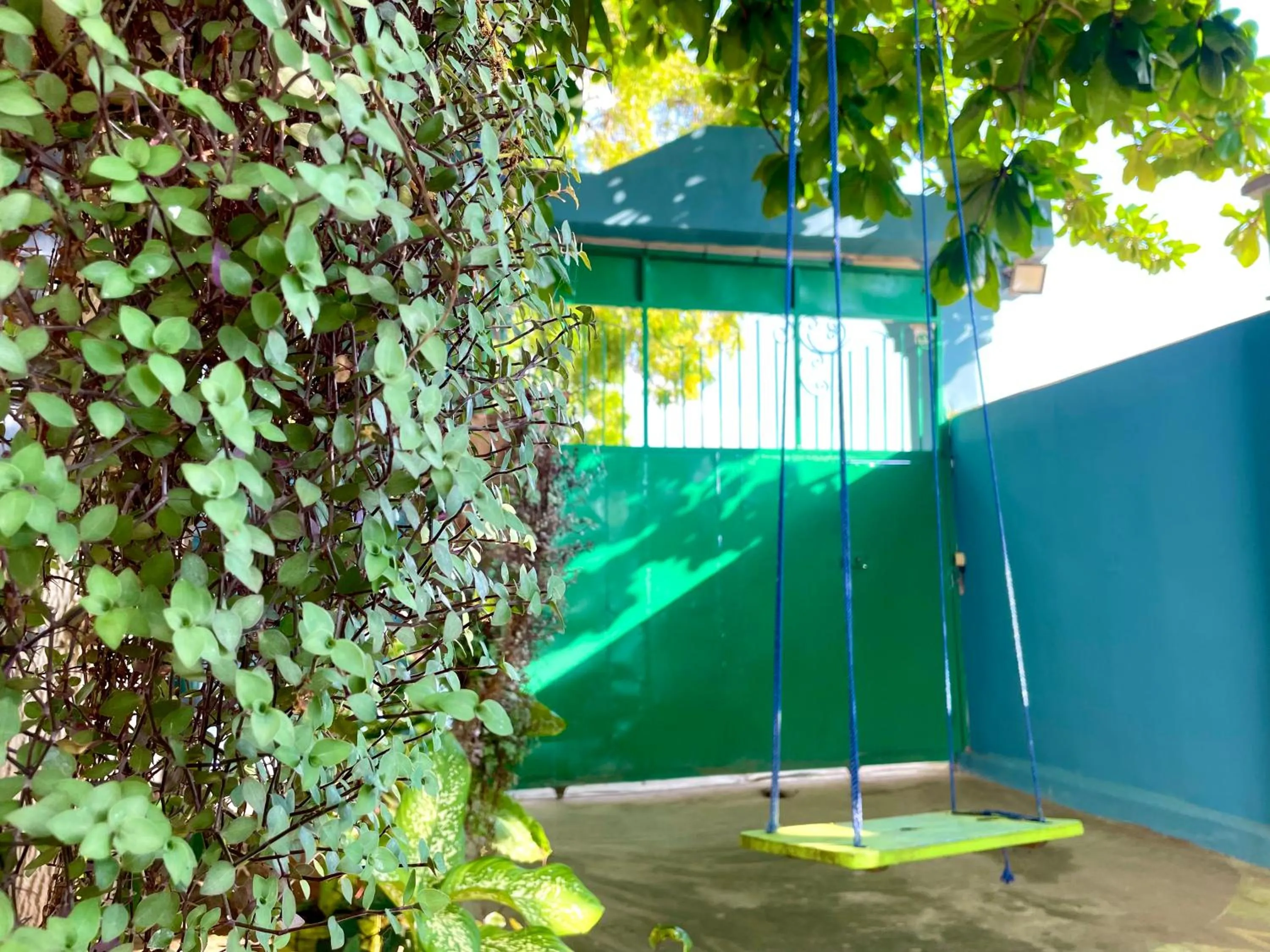 Garden in Green's Hostel Nungwi