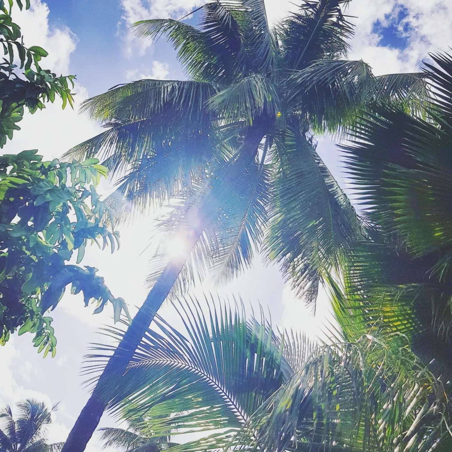 Green's Hostel Nungwi