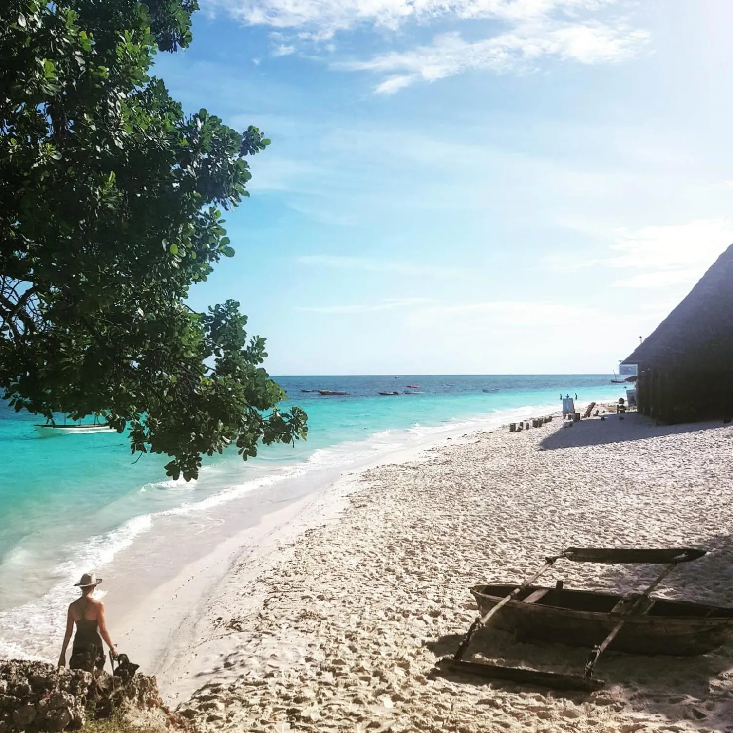 Natural landscape in Green's Hostel Nungwi