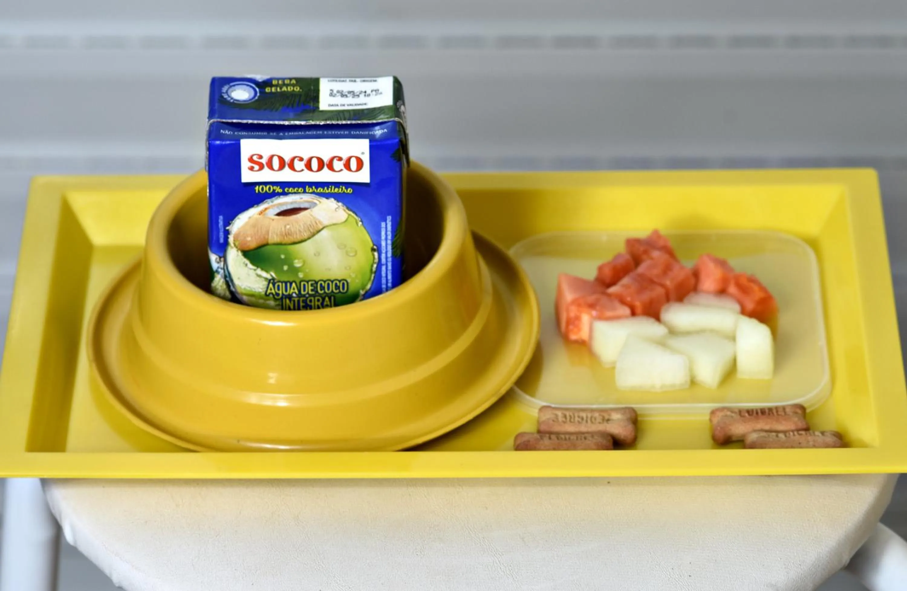 Pets in Pousada Rosa dos Ventos Juquehy