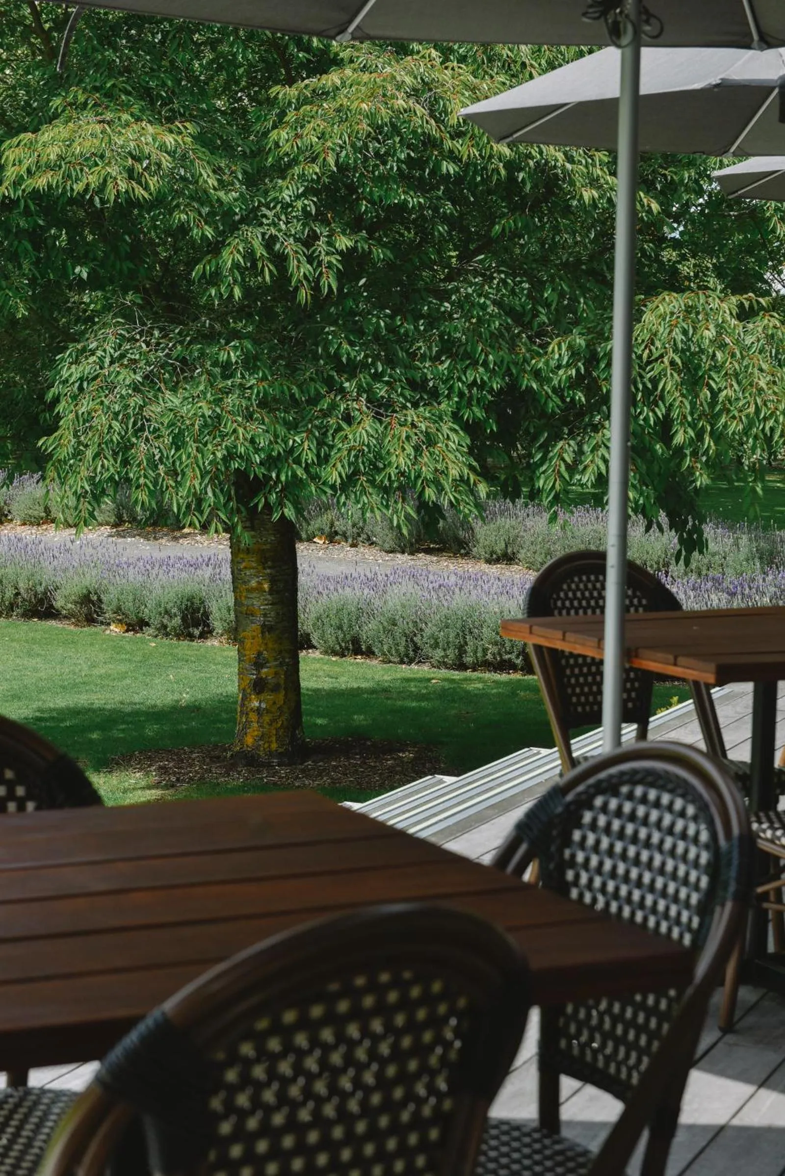 Restaurant/places to eat in The Marlborough