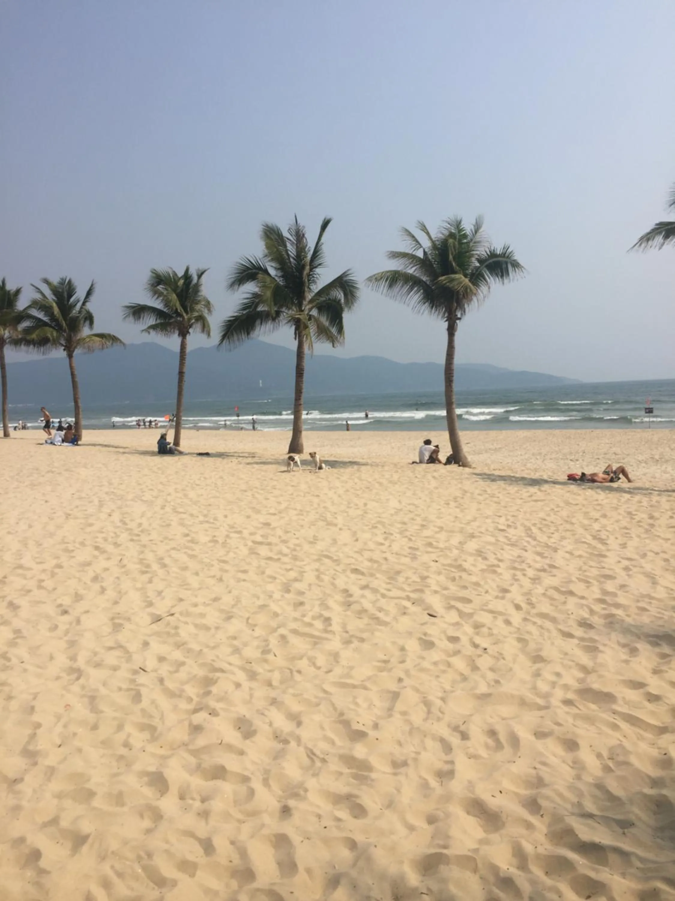 Beach in Light House Hostel