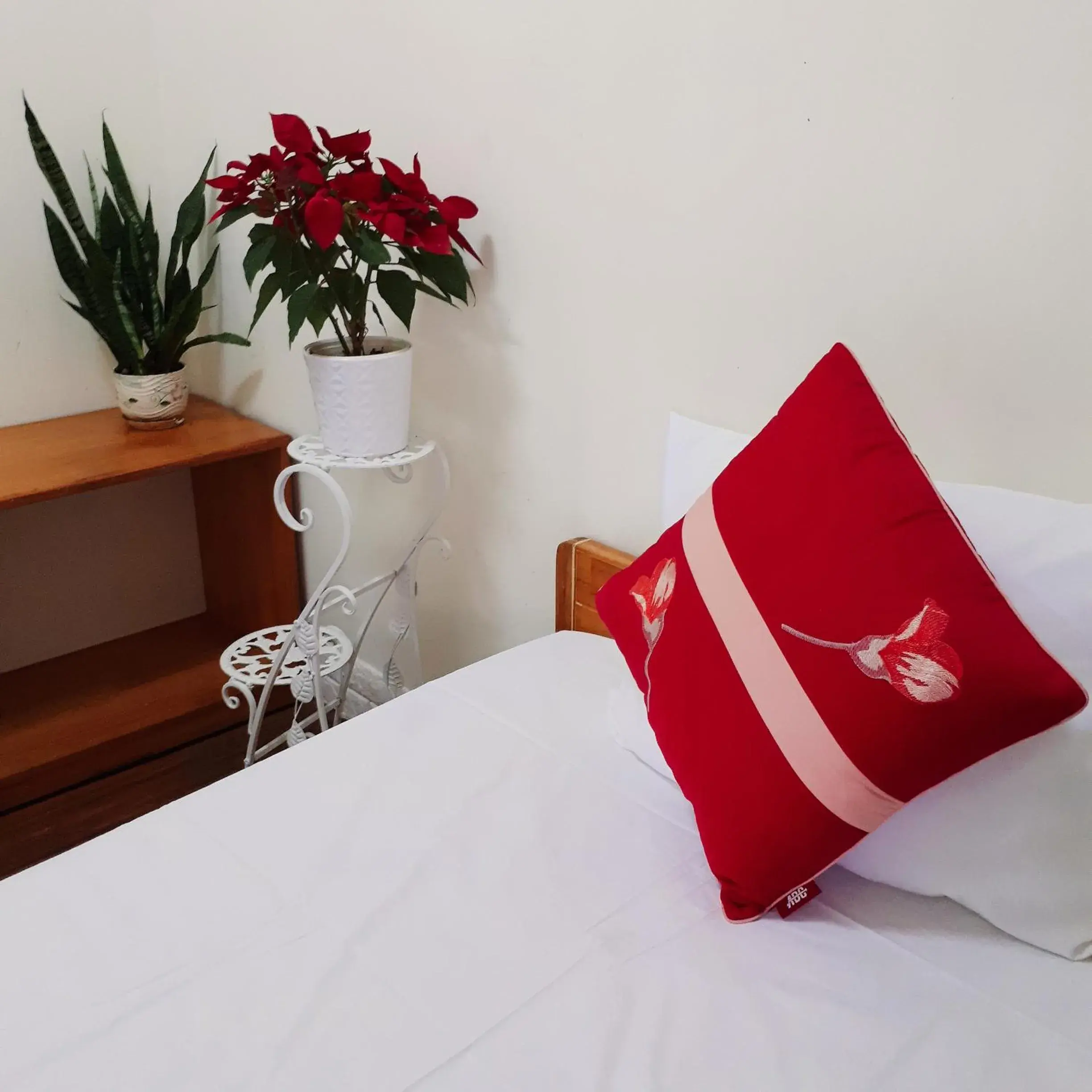 Basic Single Room in Forget Me Not Hotel Basic Single Room in Forget Me Not Hotel