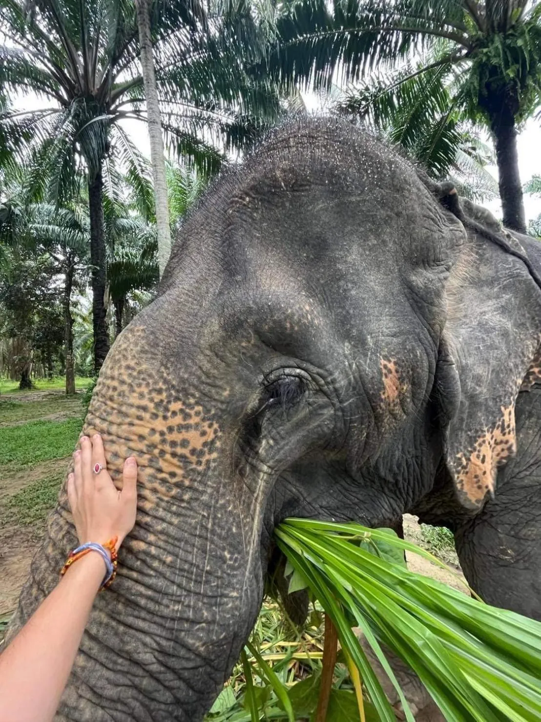 Lanta Just Come Hotel