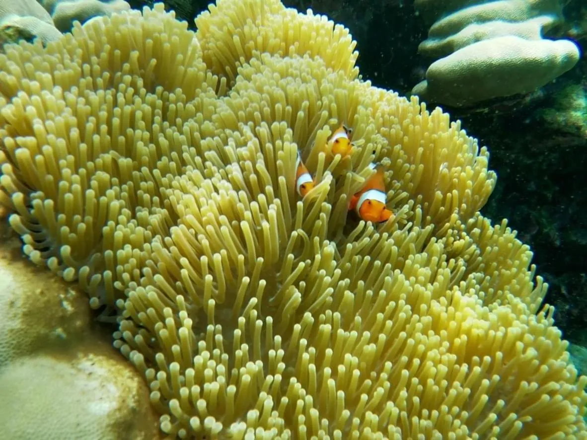 Lanta Just Come Hotel