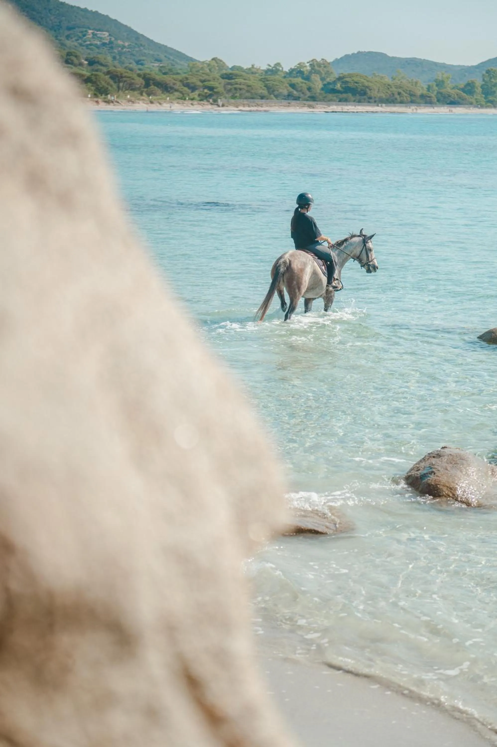 Ranch Campo Palombaggia