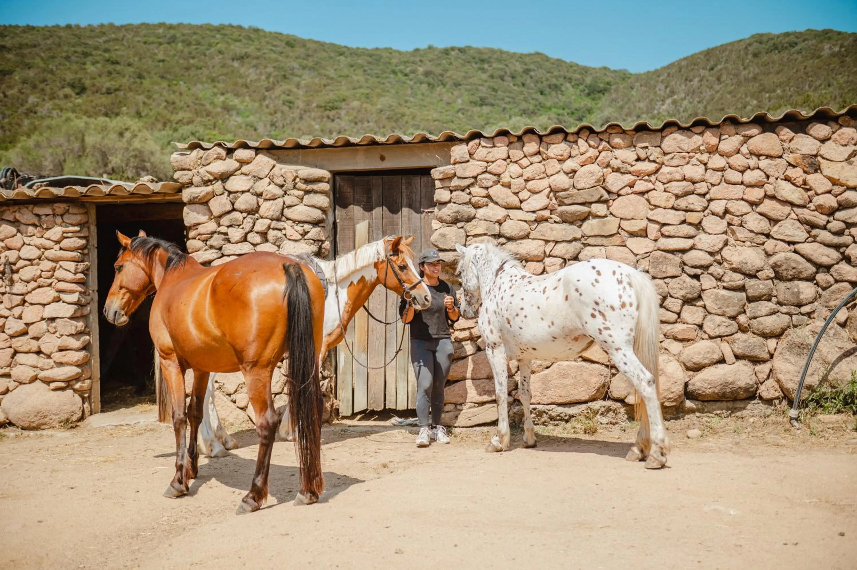 Horse-riding in Ranch Campo Palombaggia