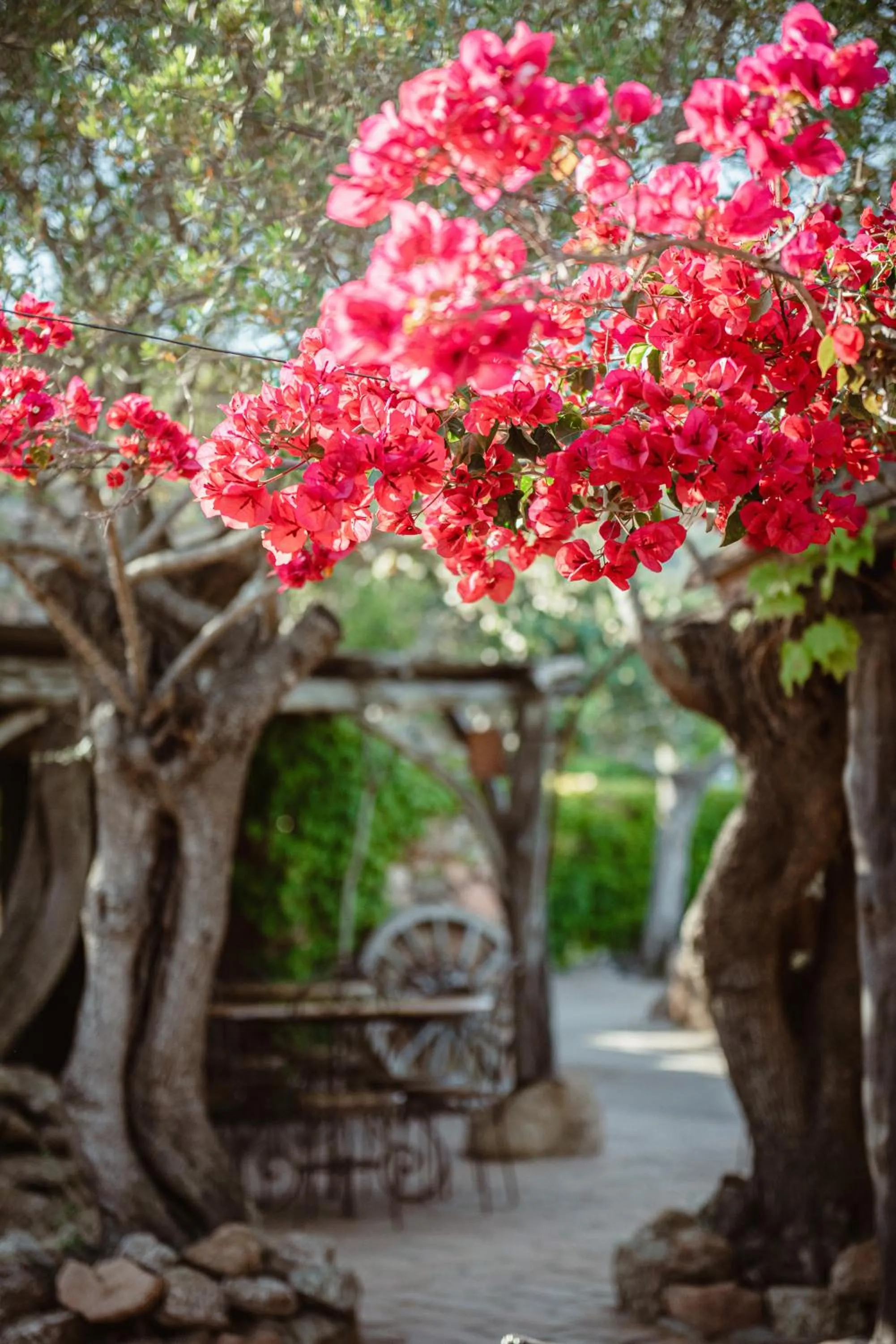 Spring in Ranch Campo Palombaggia