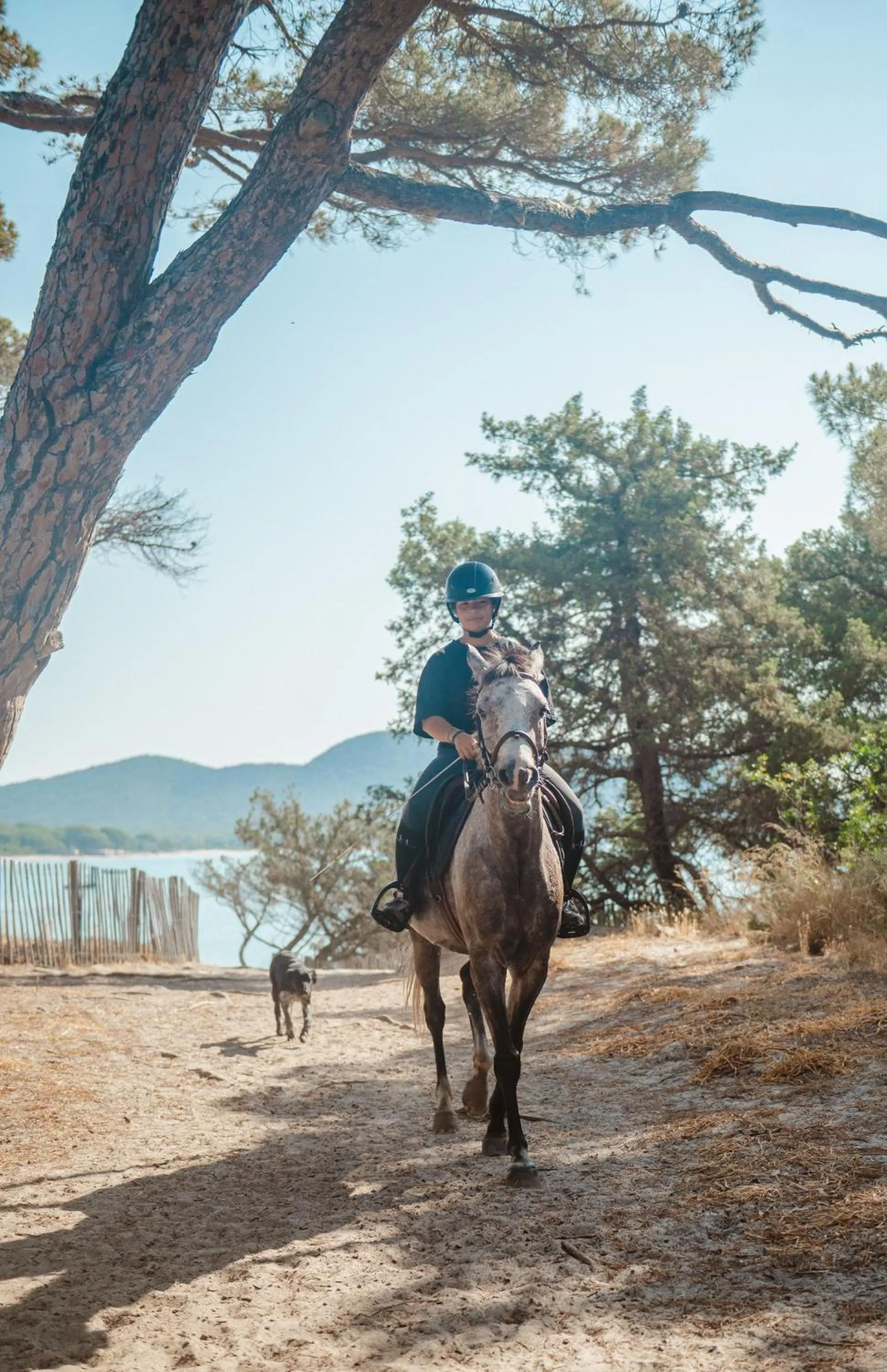 Horse-riding in Ranch Campo Palombaggia
