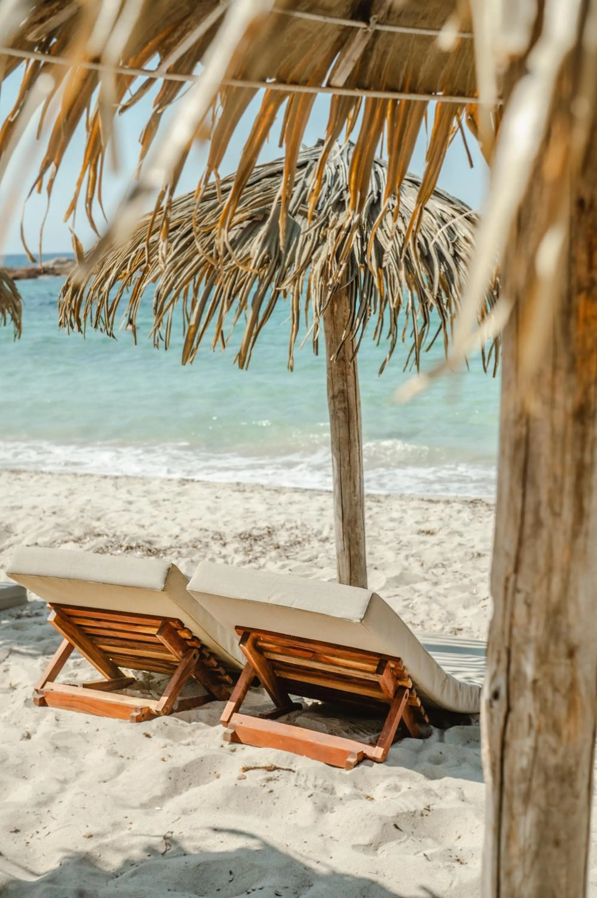 Beach in Ranch Campo Palombaggia
