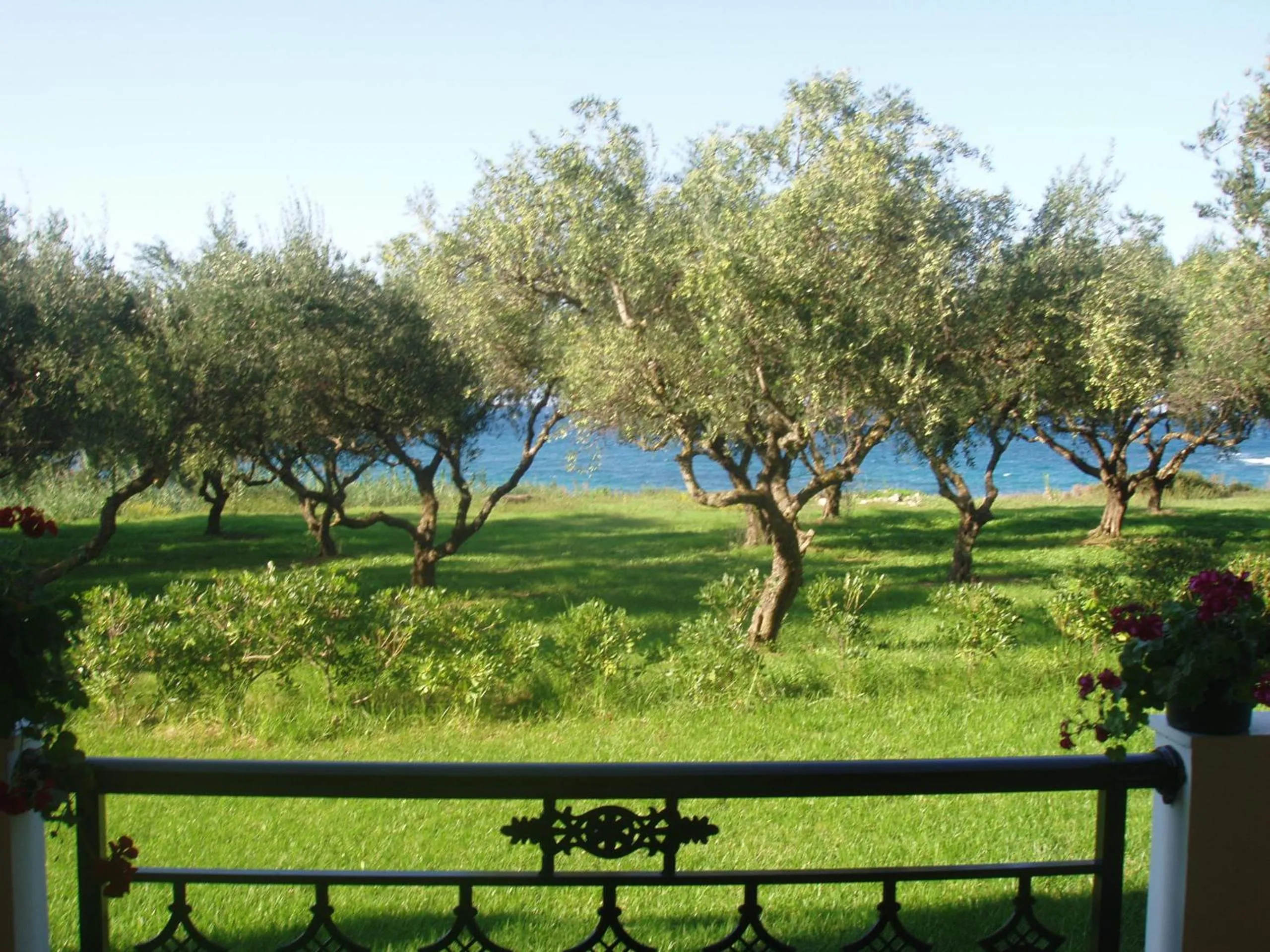 Kavos Psarou Studios & Apartments