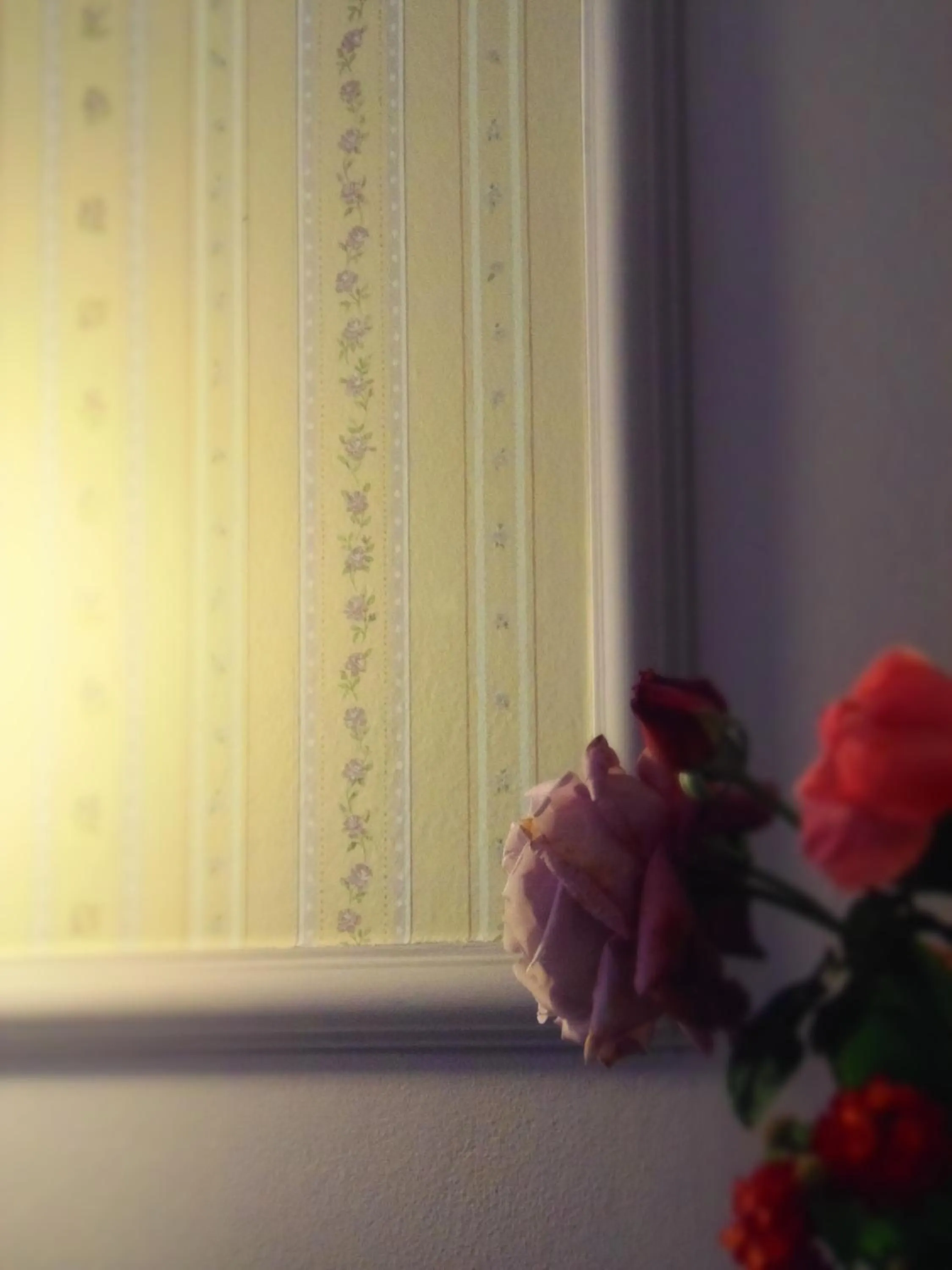 Decorative detail in Kavos Psarou Studios & Apartments