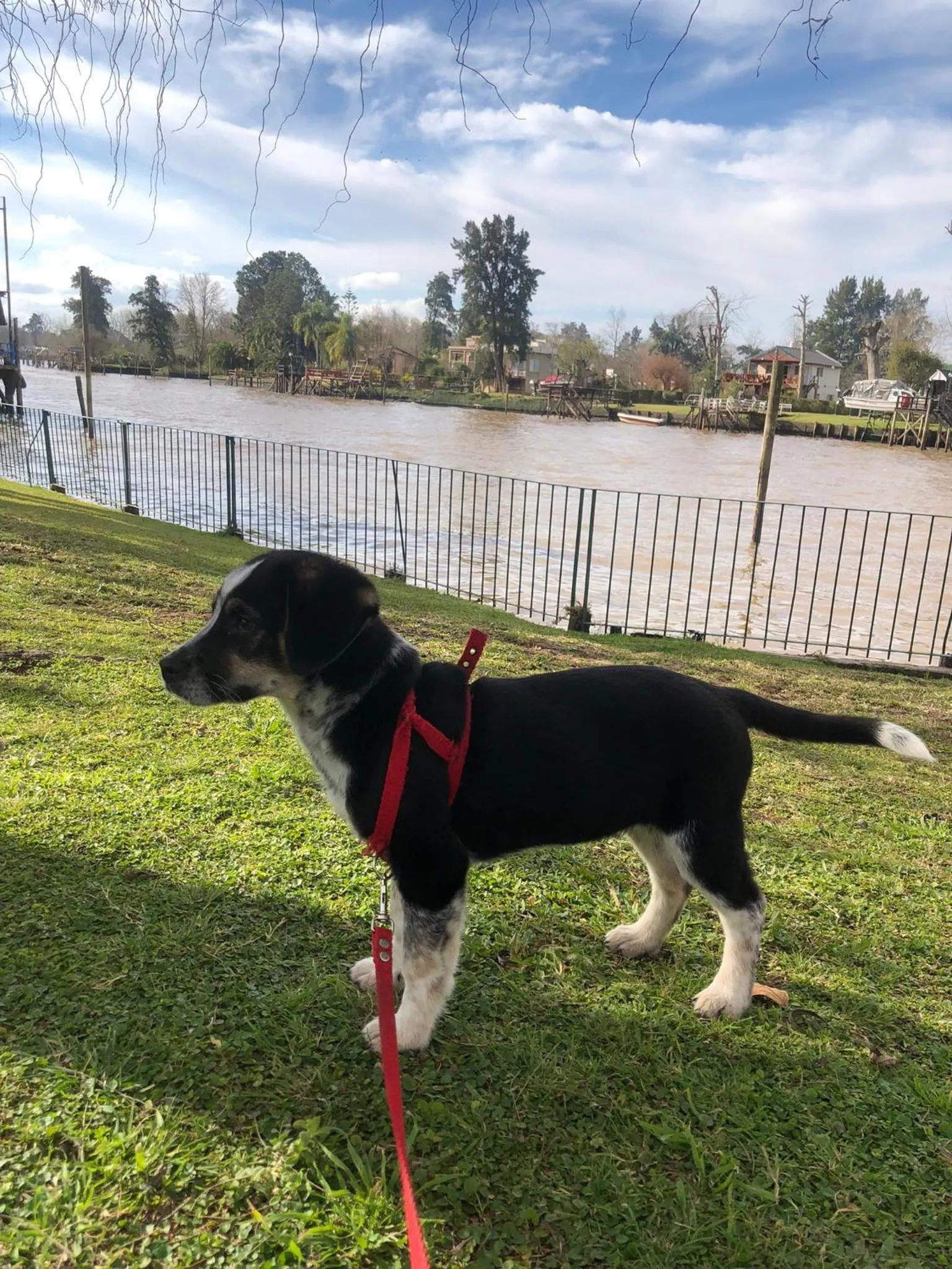 Natural landscape in Aires Del Delta