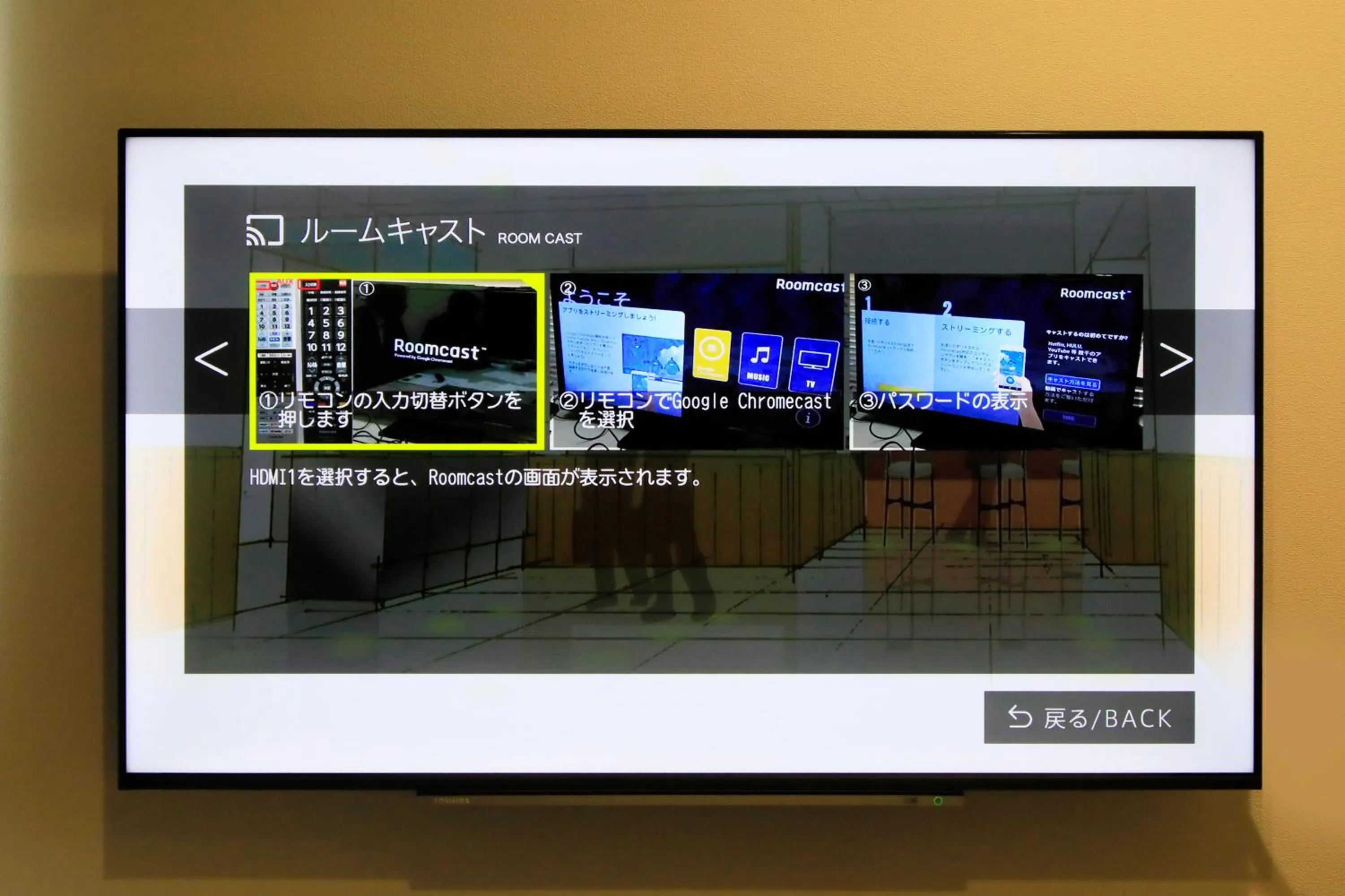 TV and multimedia in Hotel NewNagano NeXT