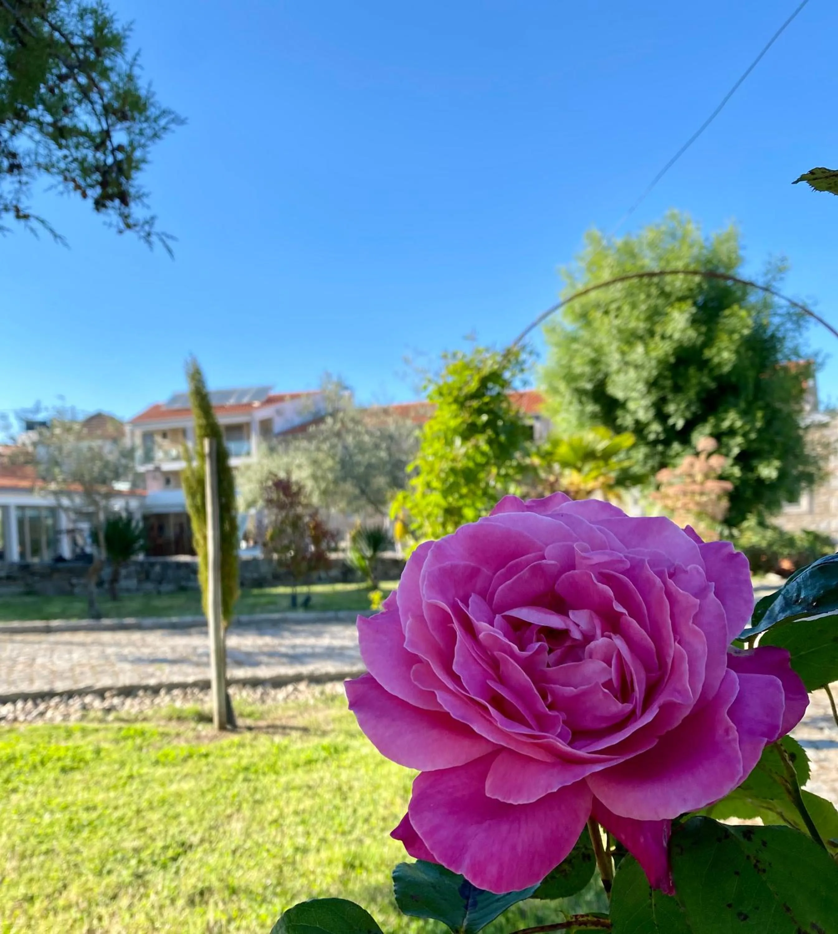 Casas Campo Cimo da Quinta