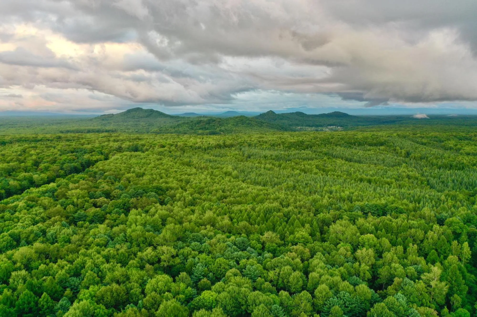 Natural landscape in Pullman Changbaishan Resort