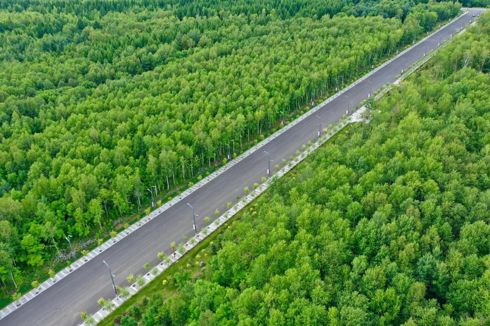 Natural landscape in Pullman Changbaishan Resort