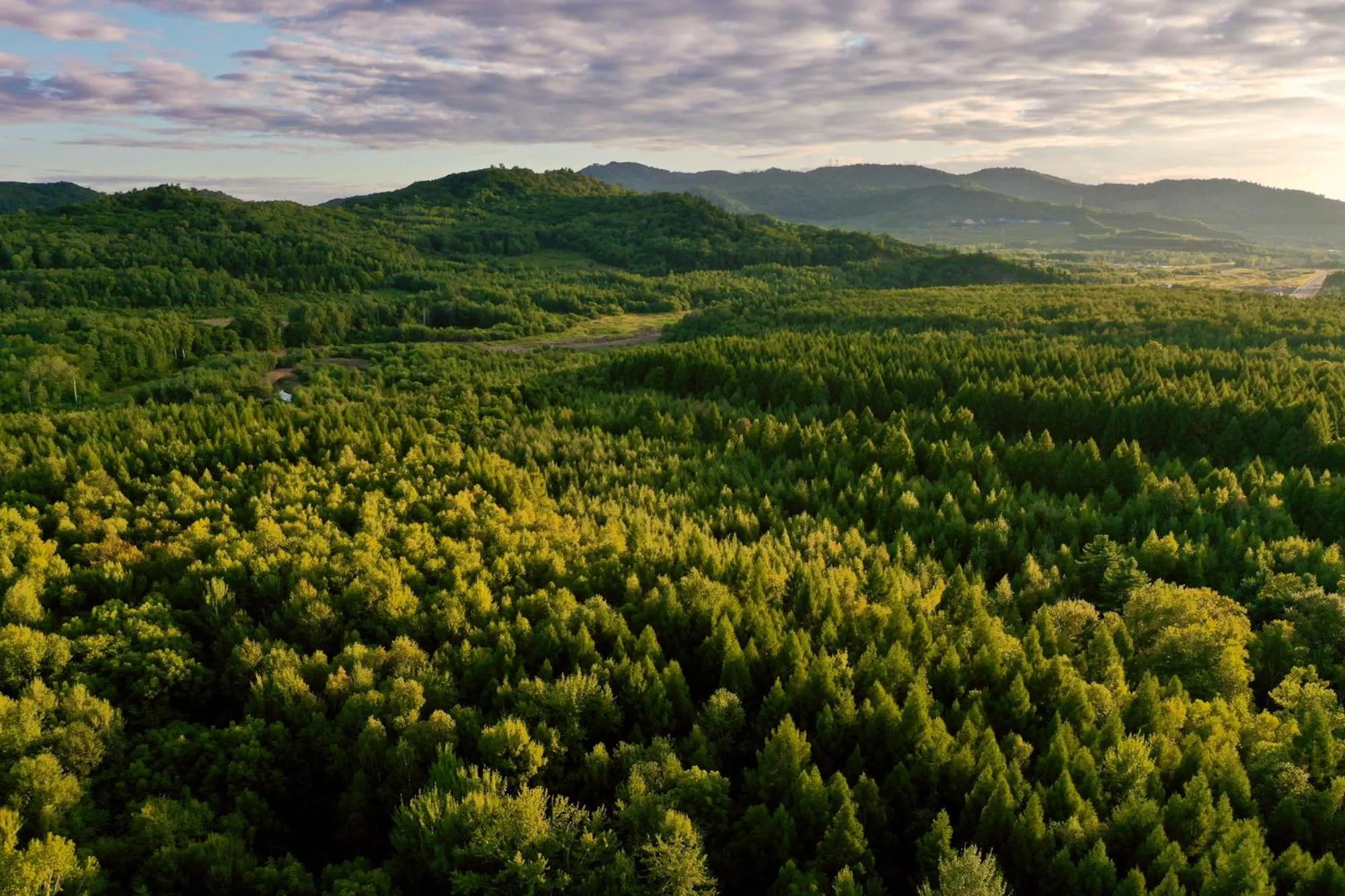 Natural landscape in Pullman Changbaishan Resort