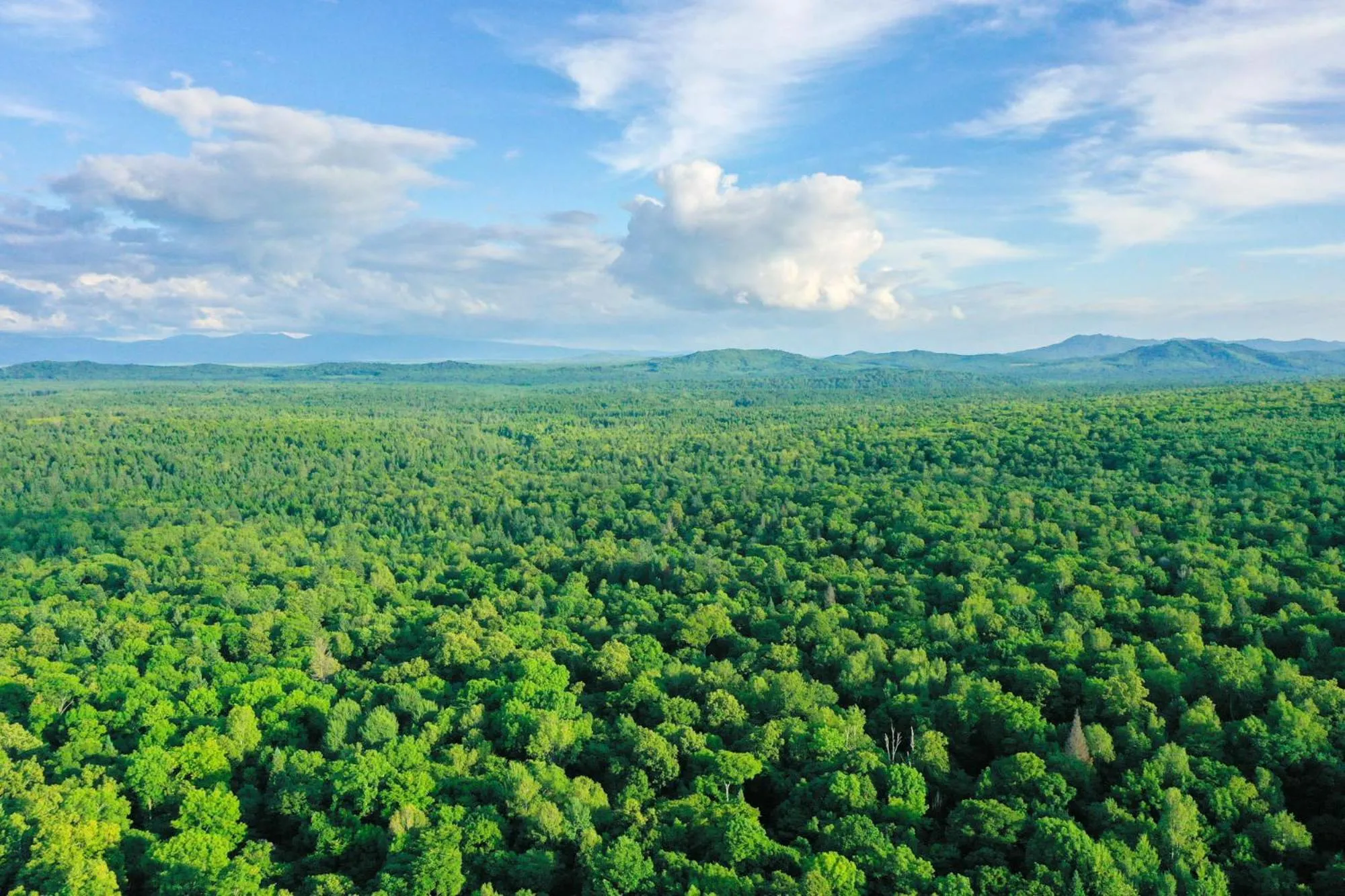 Natural landscape in Pullman Changbaishan Resort