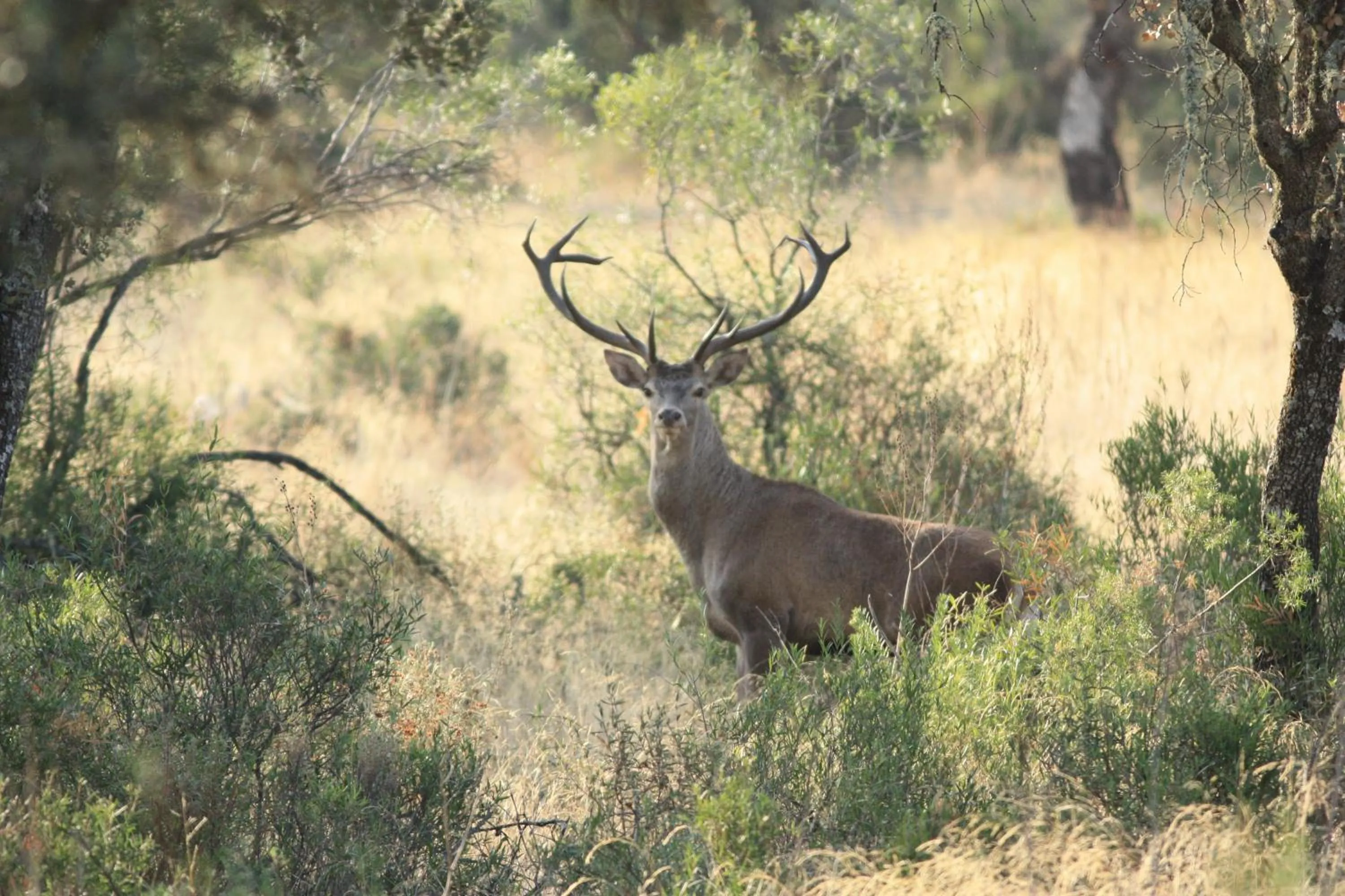 Nearby landmark in Hotel Carvajal