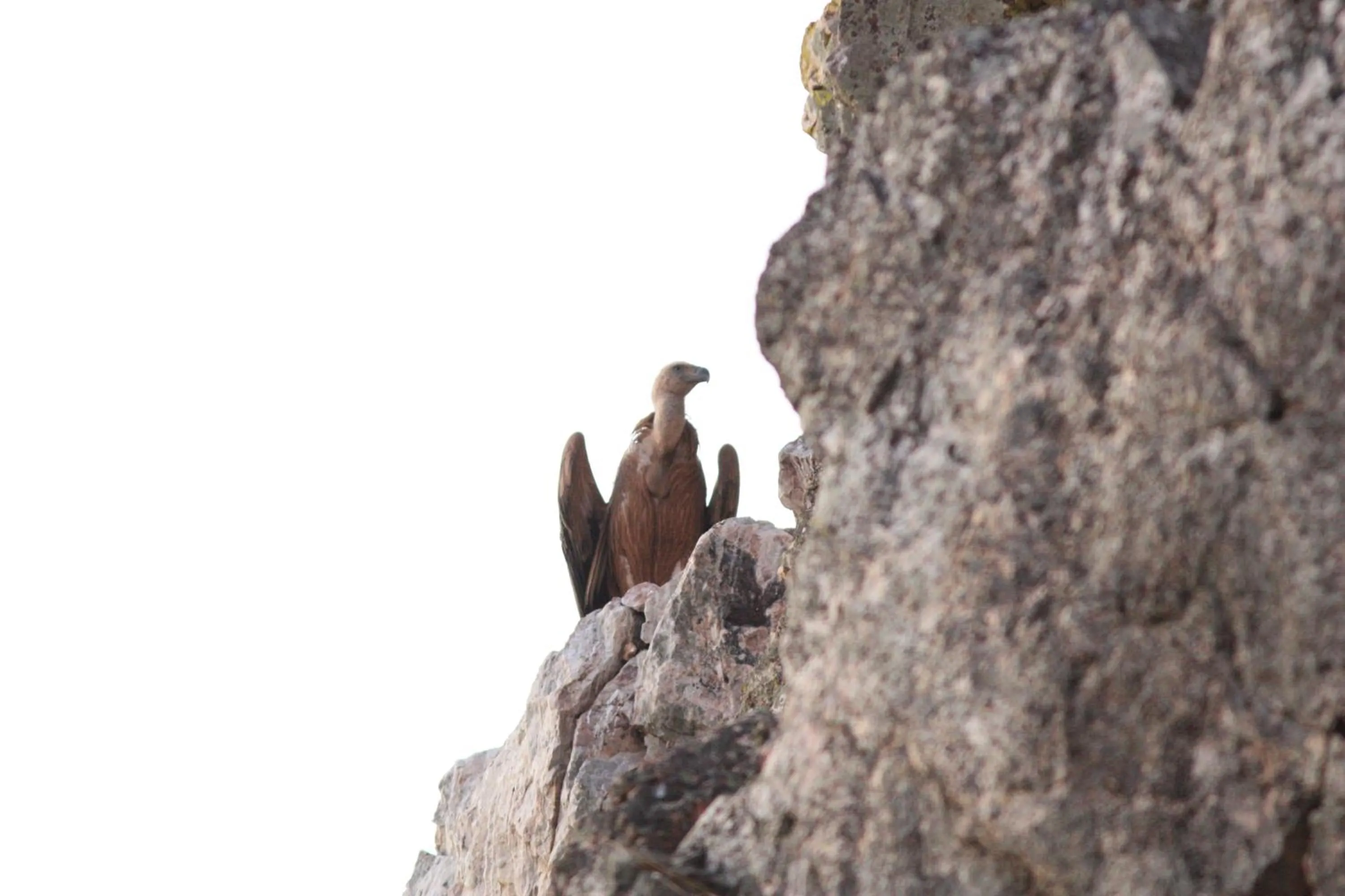 Nearby landmark in Hotel Carvajal