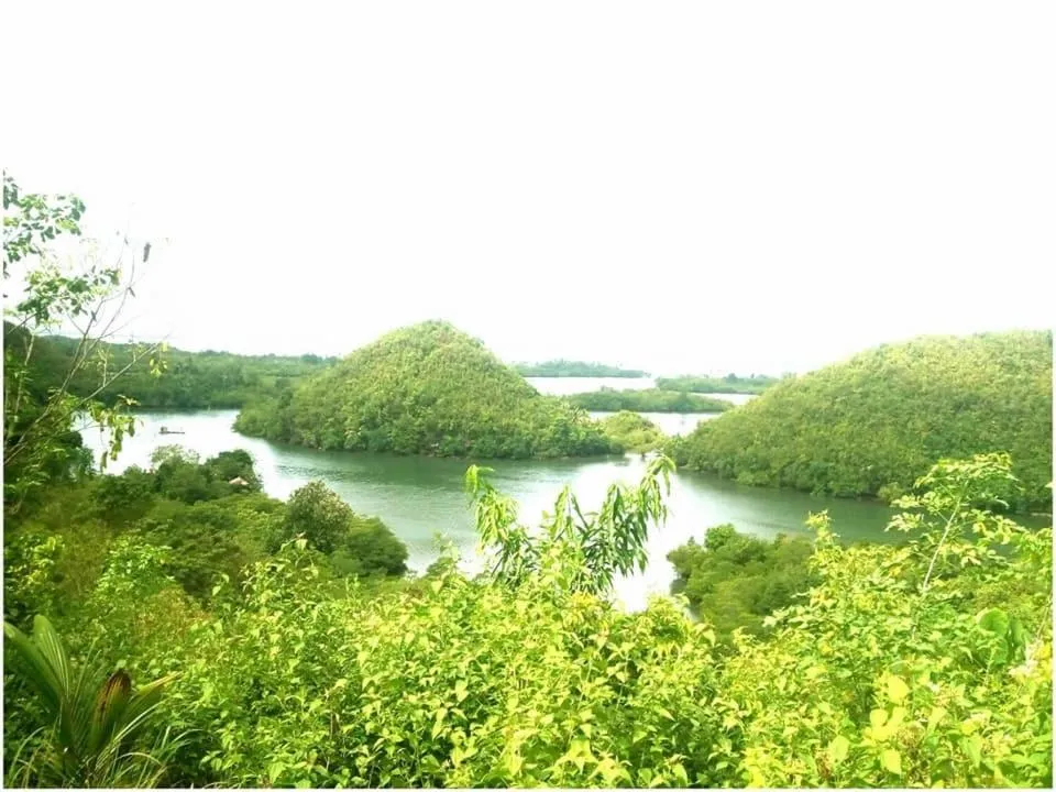 Location in Palompon lodge