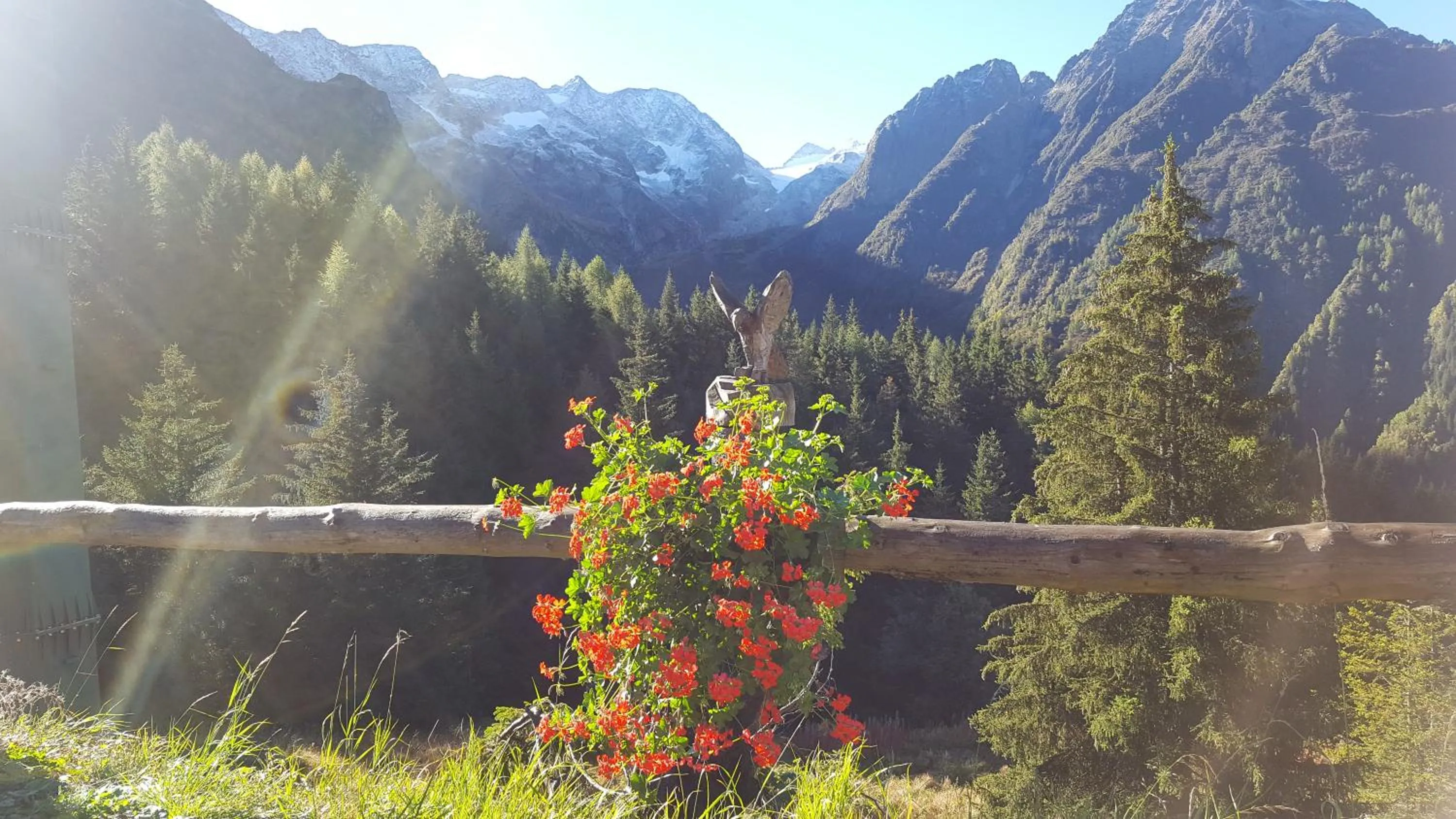 Summer in Hotel La Roccia