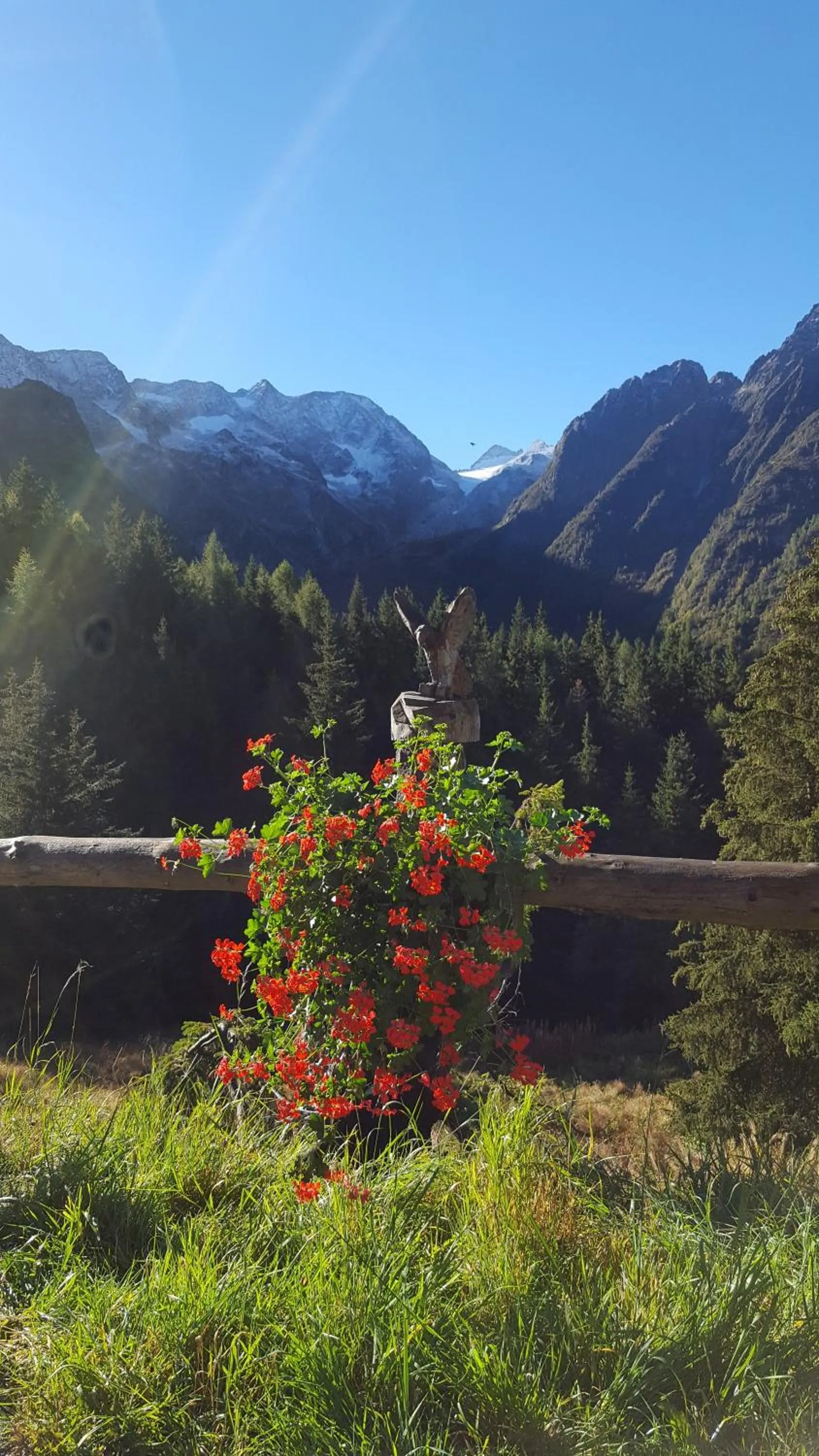 Mountain view in Hotel La Roccia