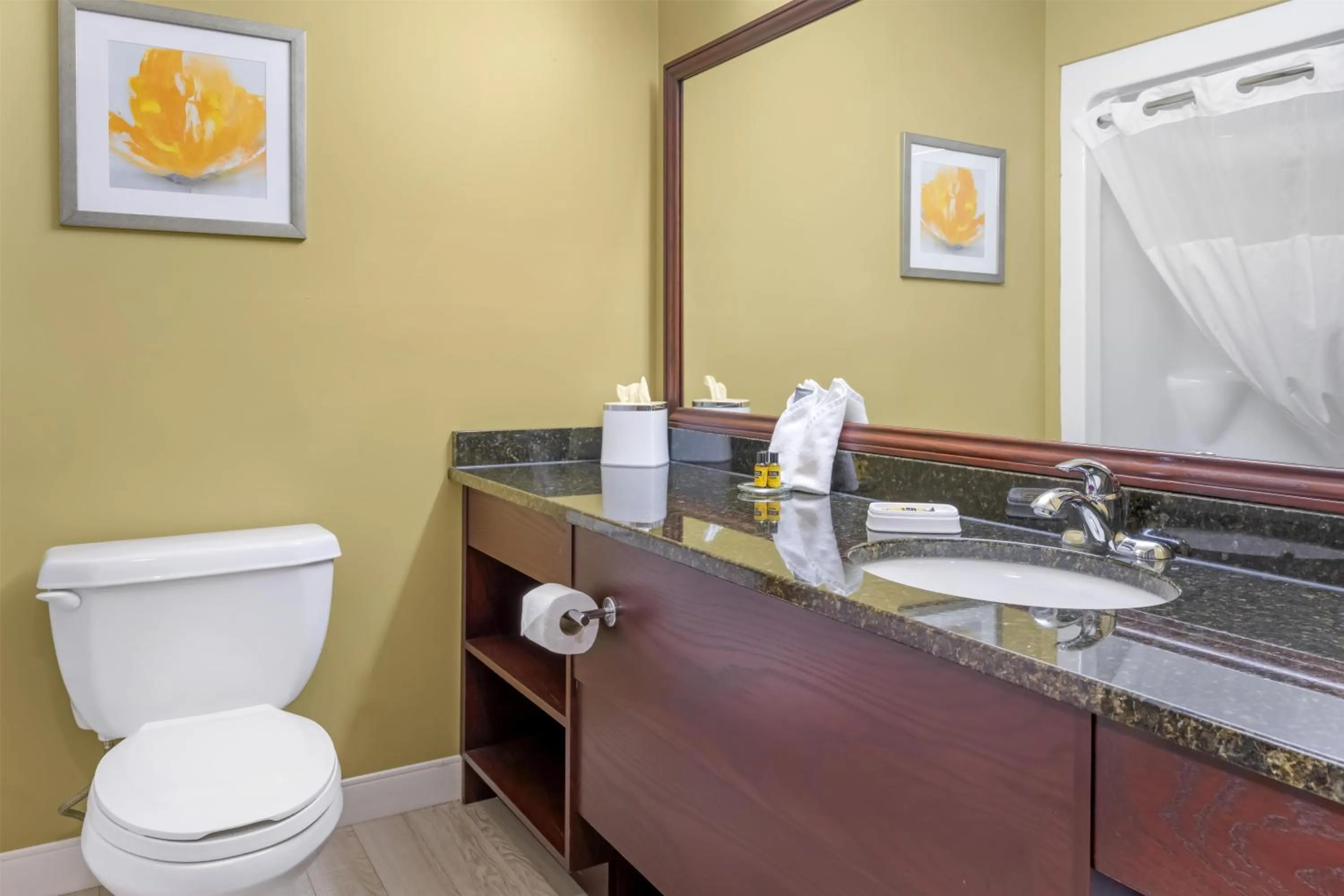 Bathroom in Best Western Plus Grand-Sault Hotel & Suites