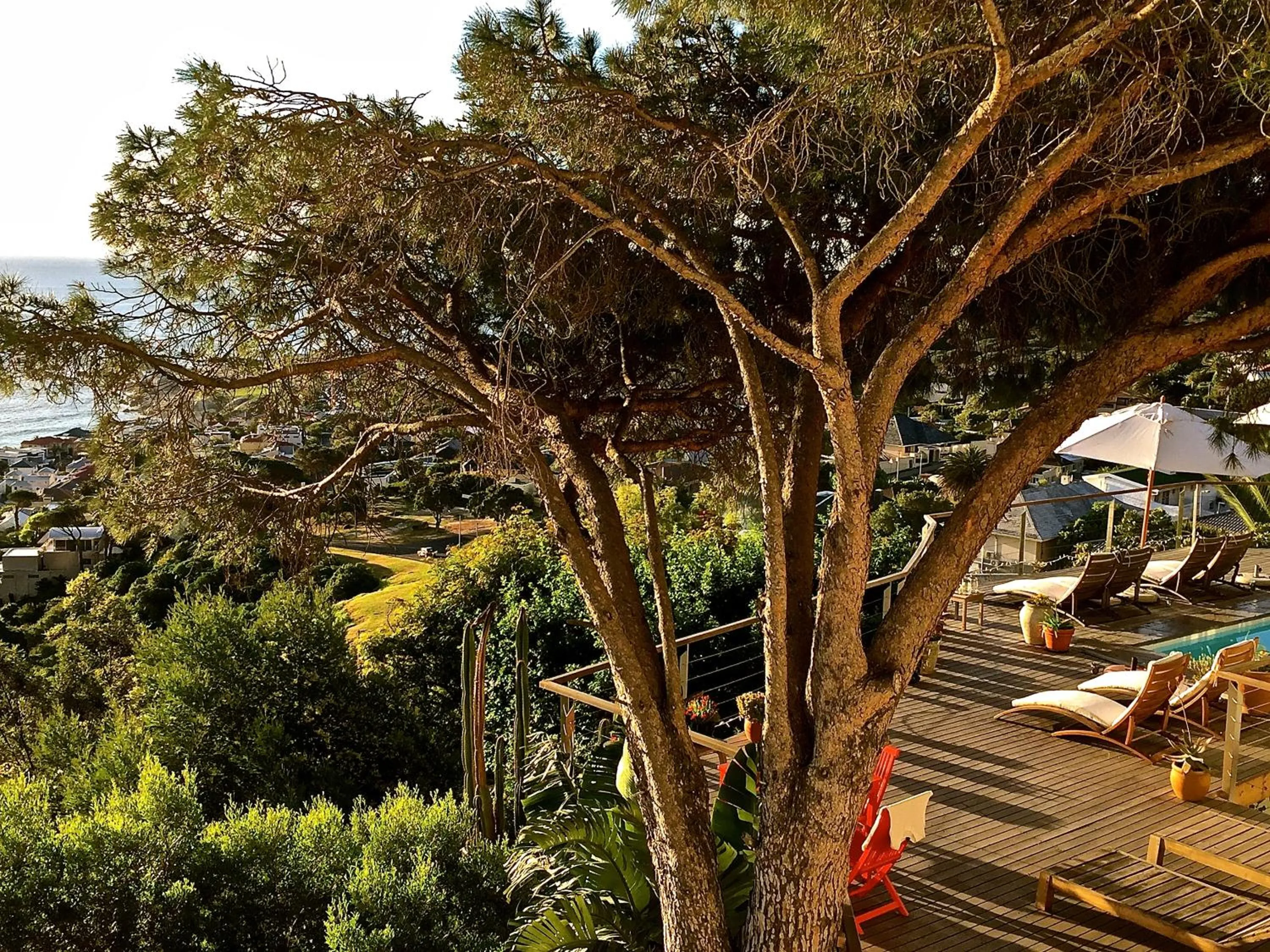 Bird's eye view in Boutique@10