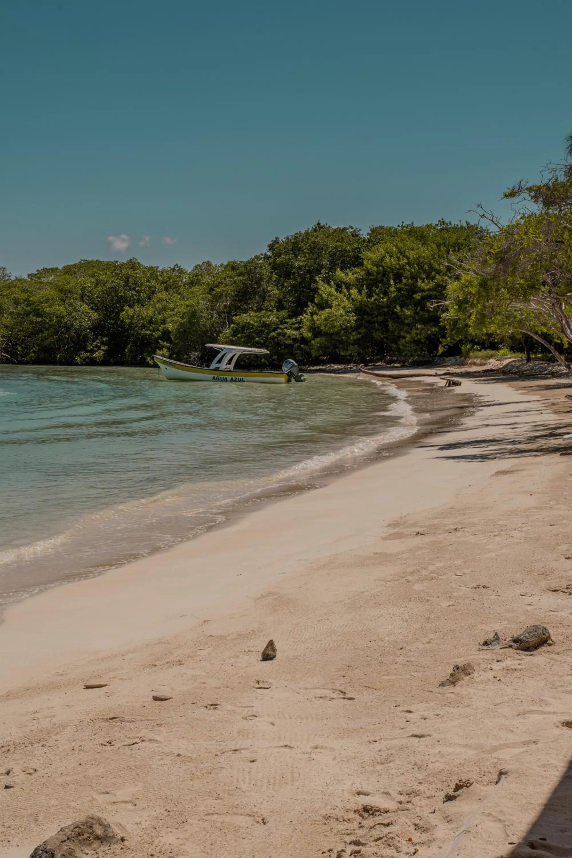 Beach in Hotel Agua Azul Beach Resort