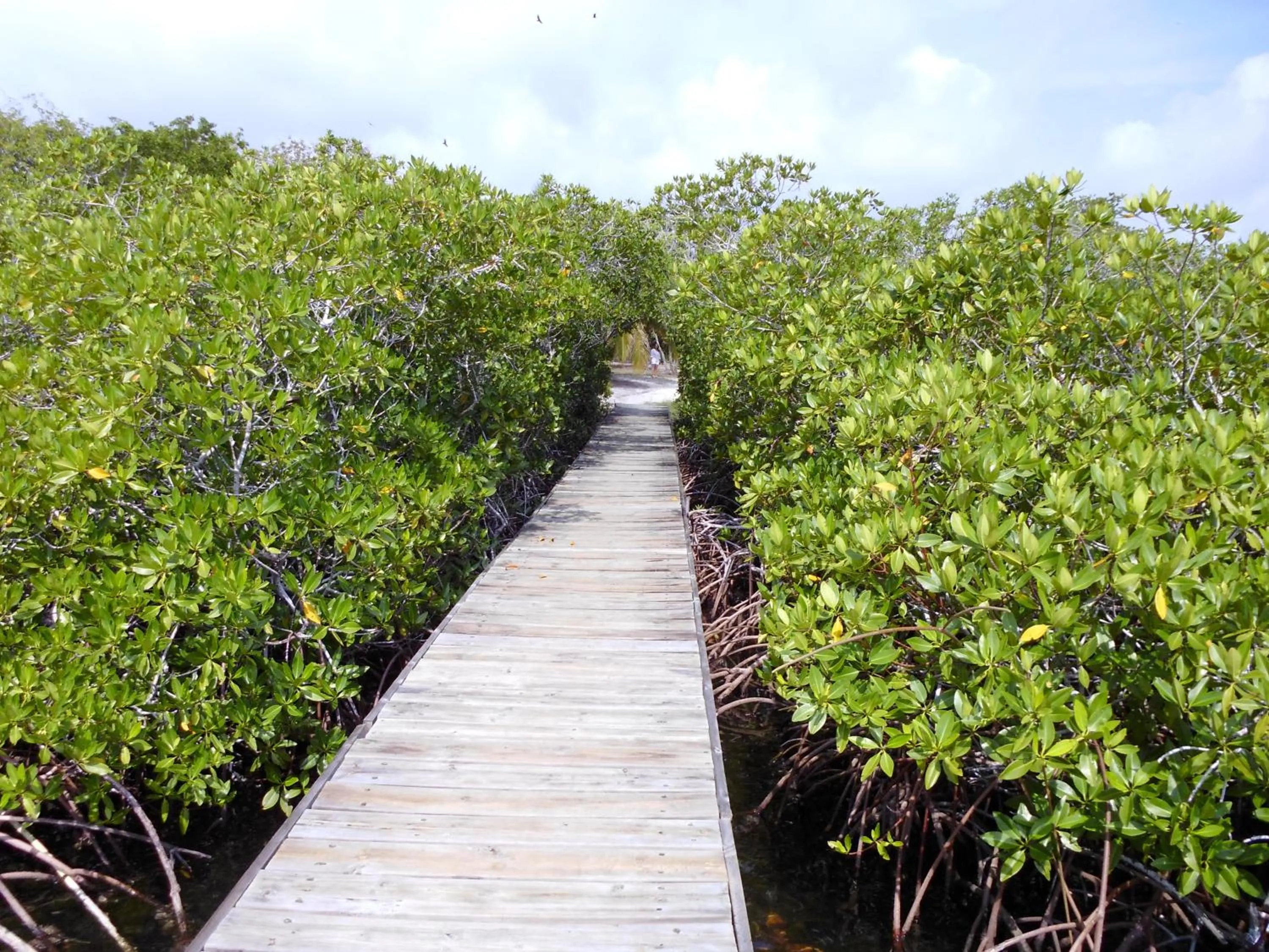 Day in Hotel Agua Azul Beach Resort