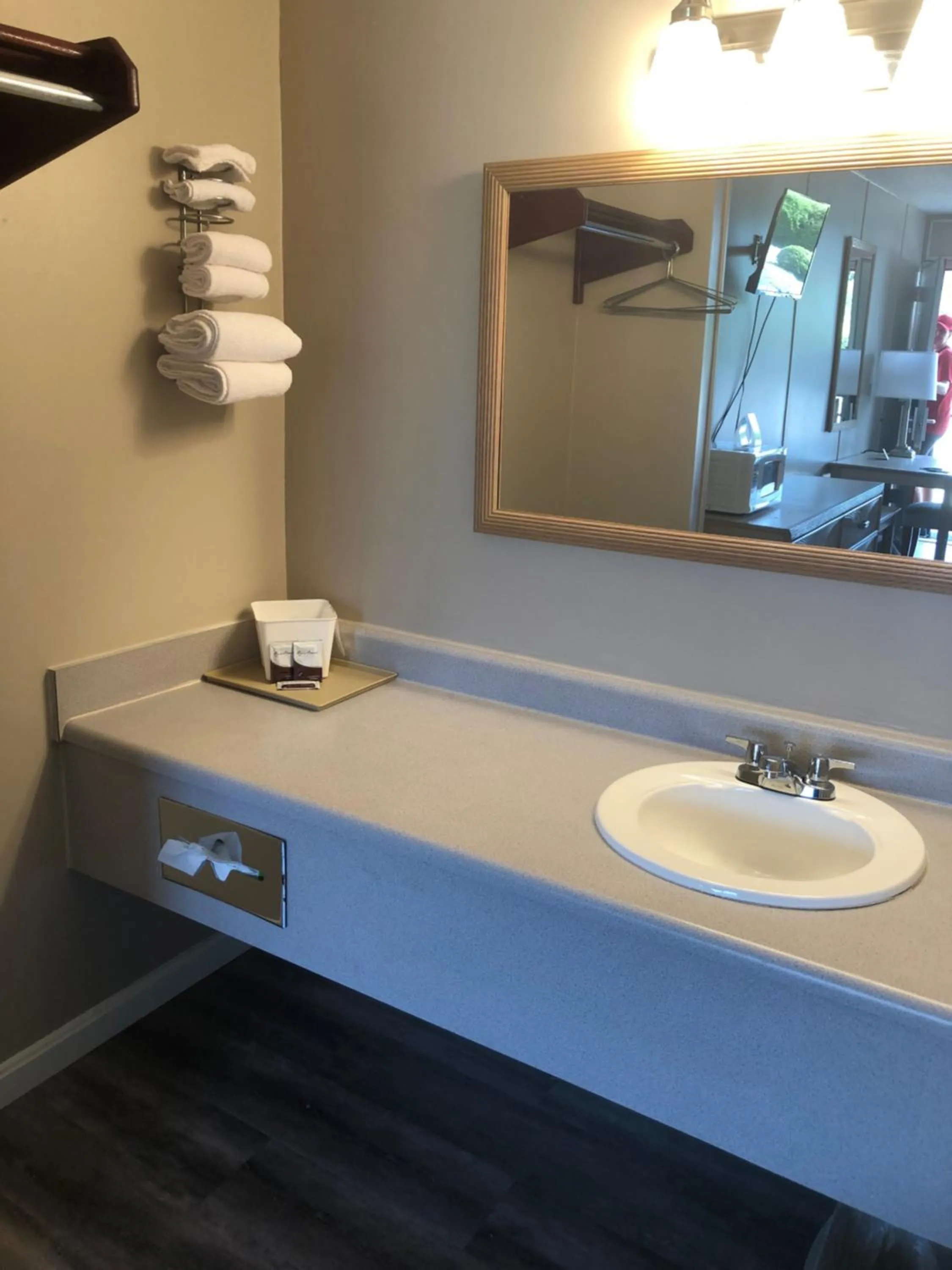 Bathroom in Red Carpet Inn - Louisville