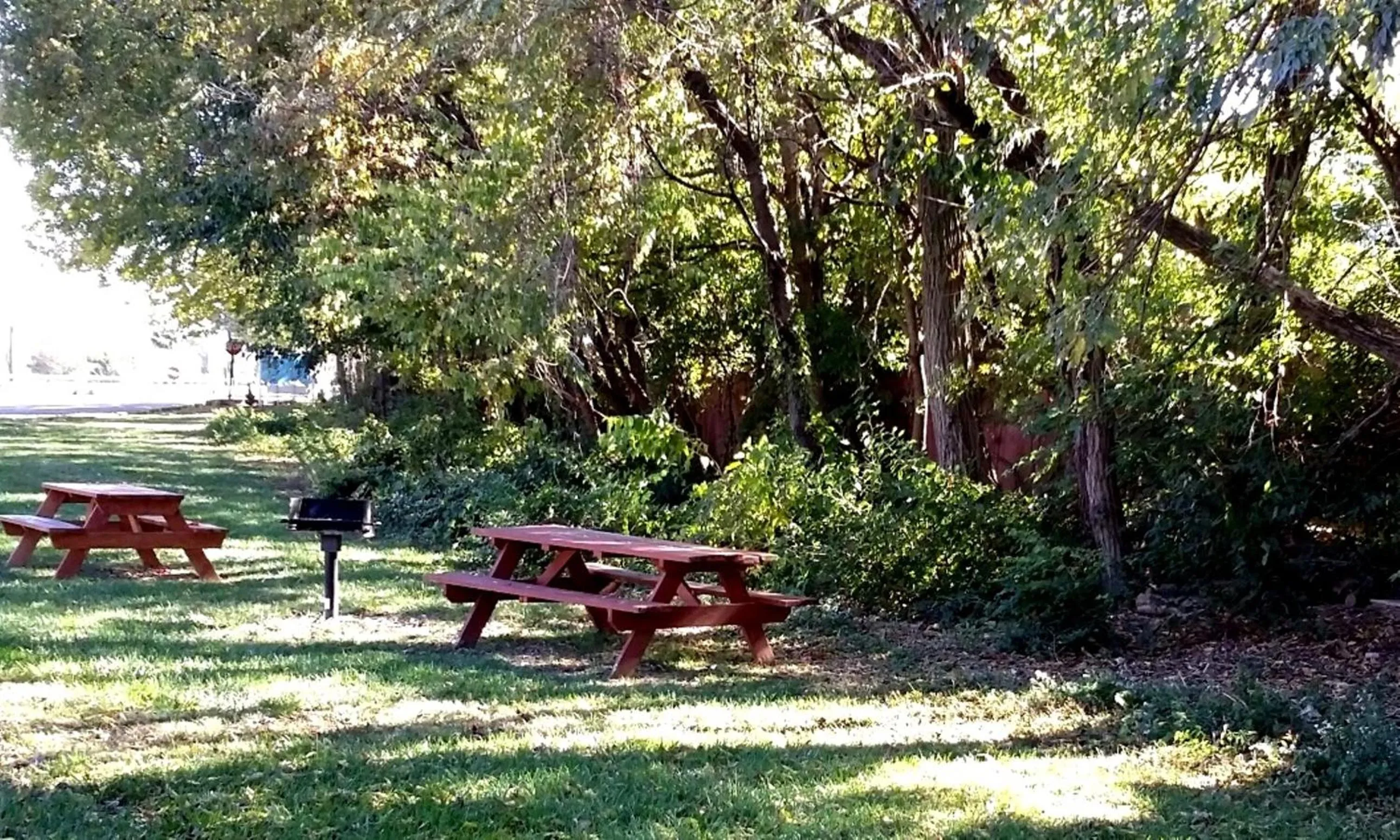 Natural landscape in Red Carpet Inn - Louisville