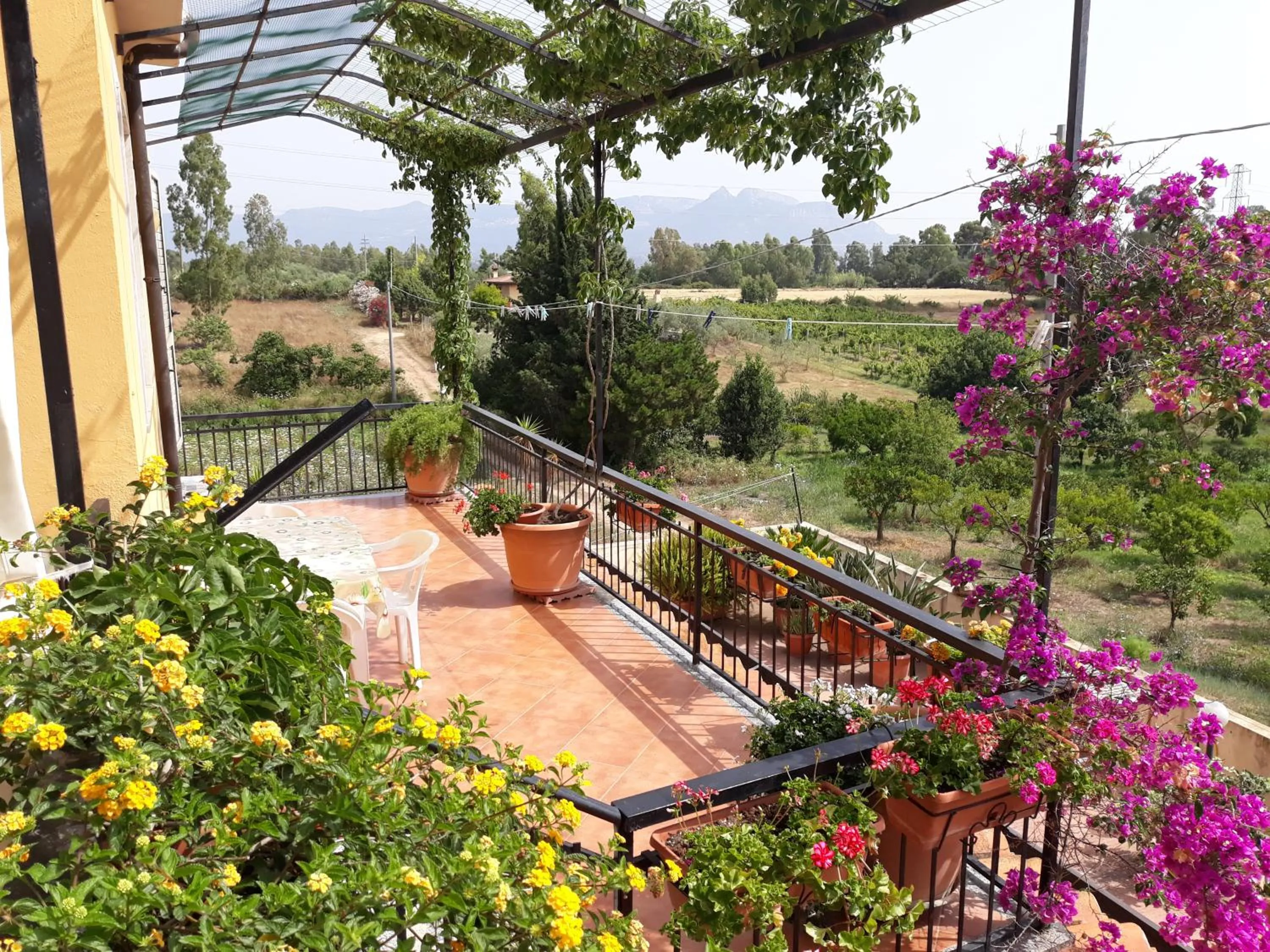 Balcony/Terrace in B&B Is Murdegus