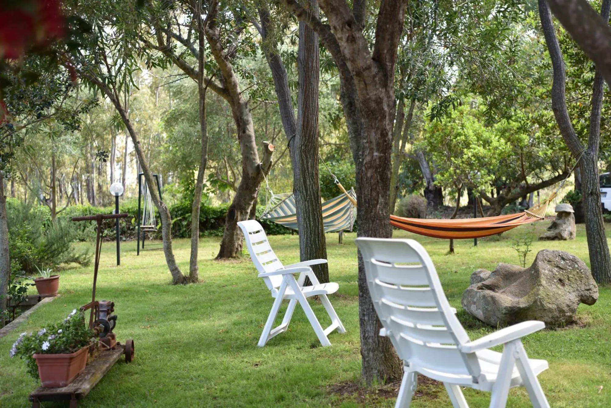 Garden in B&B Is Murdegus