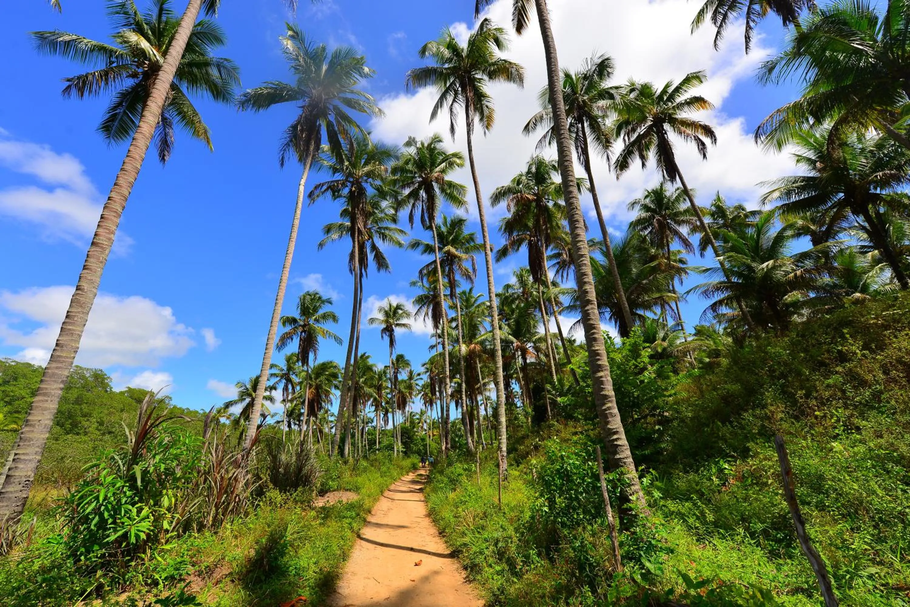 Natural landscape in Pousada do Gunga