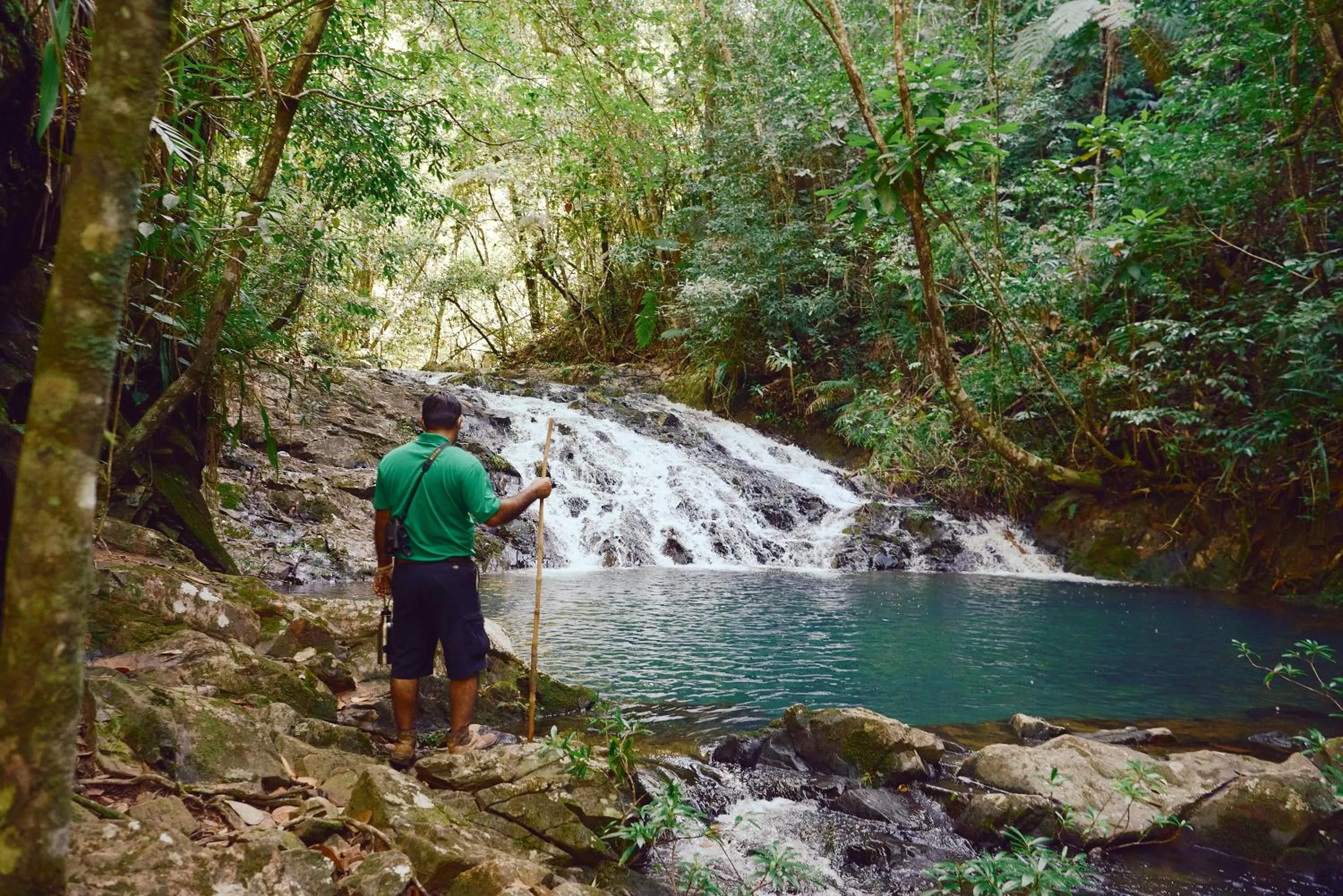 Natural landscape in Hidden Valley Wilderness Lodge