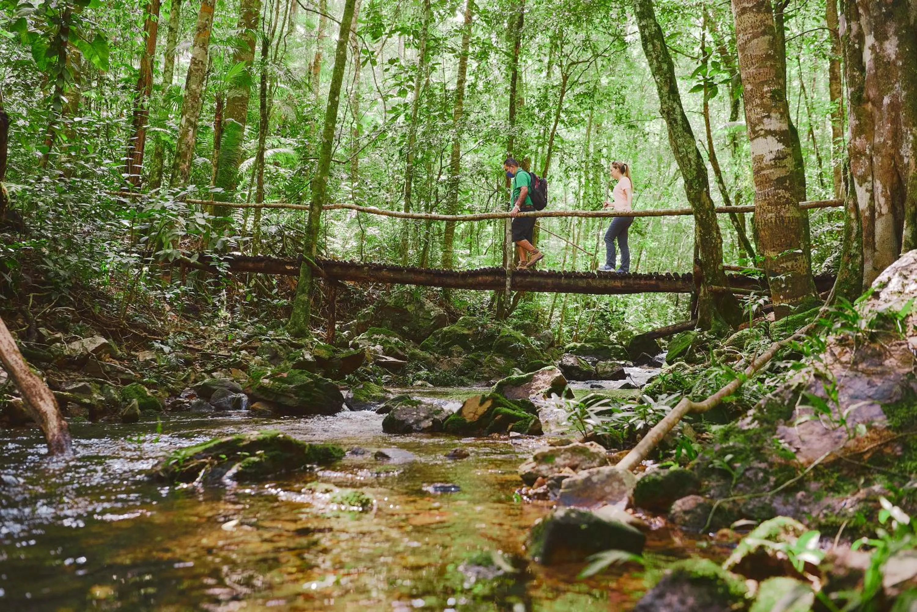 Natural landscape in Hidden Valley Wilderness Lodge