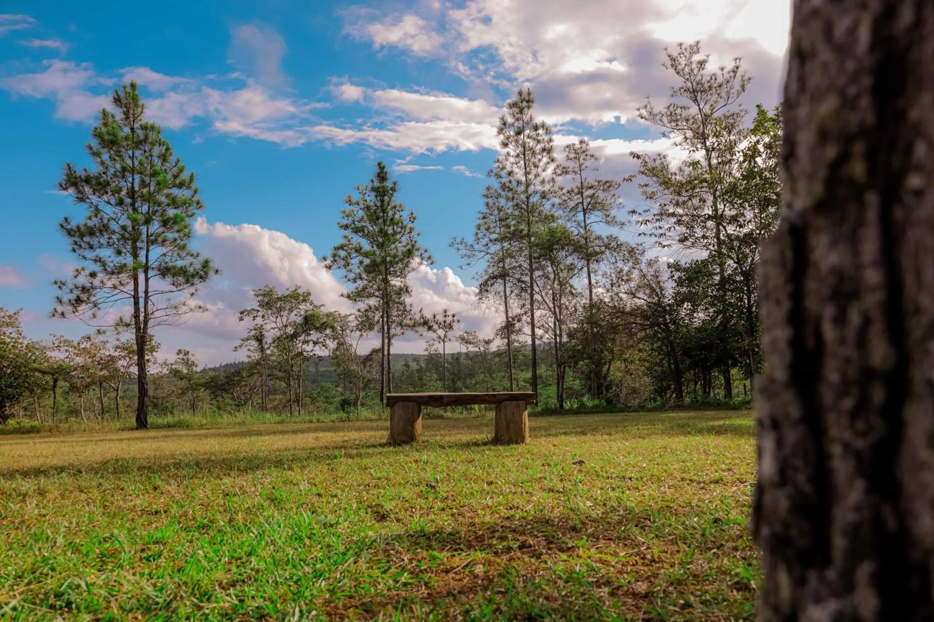 Natural landscape in Hidden Valley Wilderness Lodge