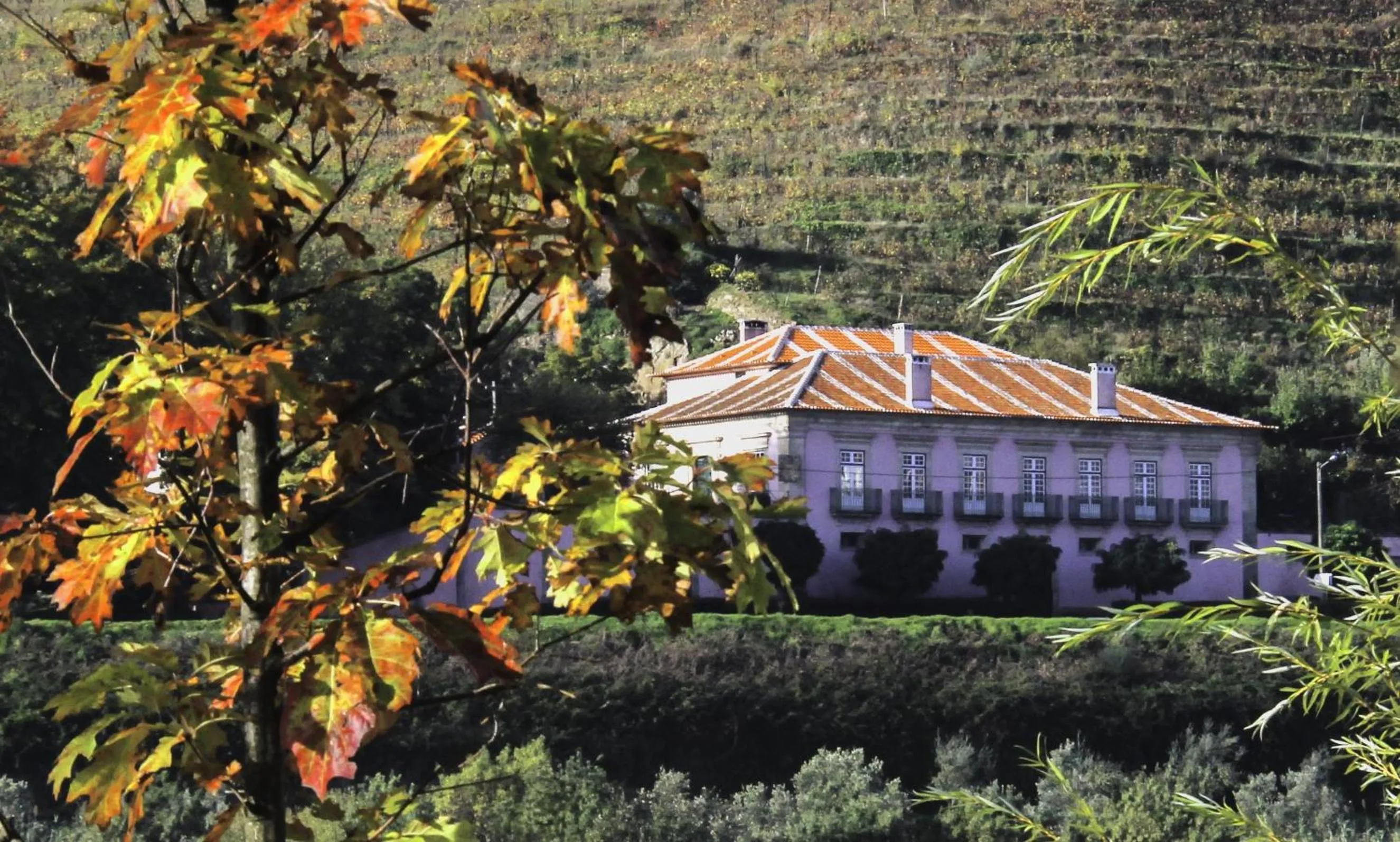 Property building in Casa Dos Varais, Manor House
