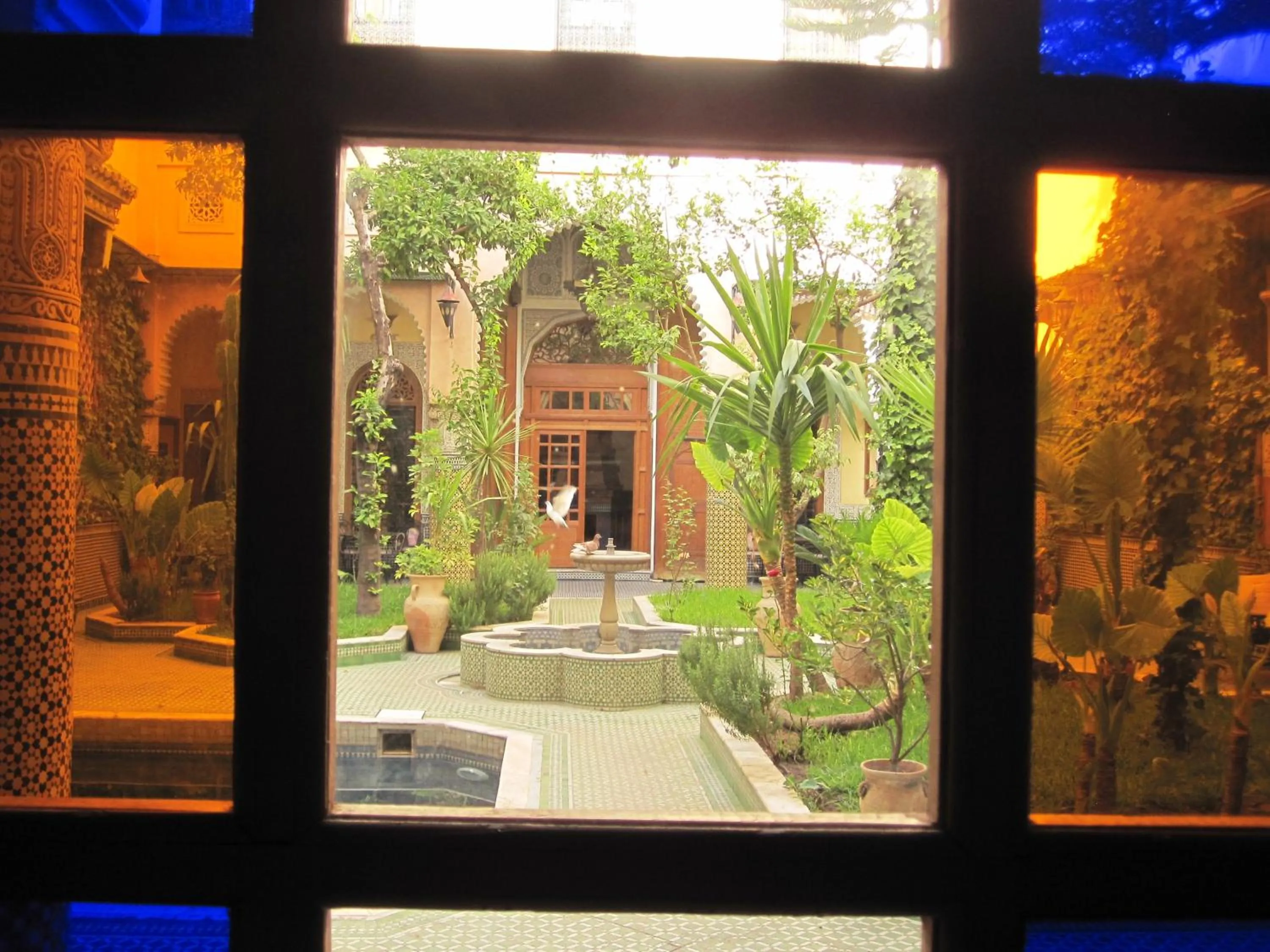Pool view in Riad Jaouhara