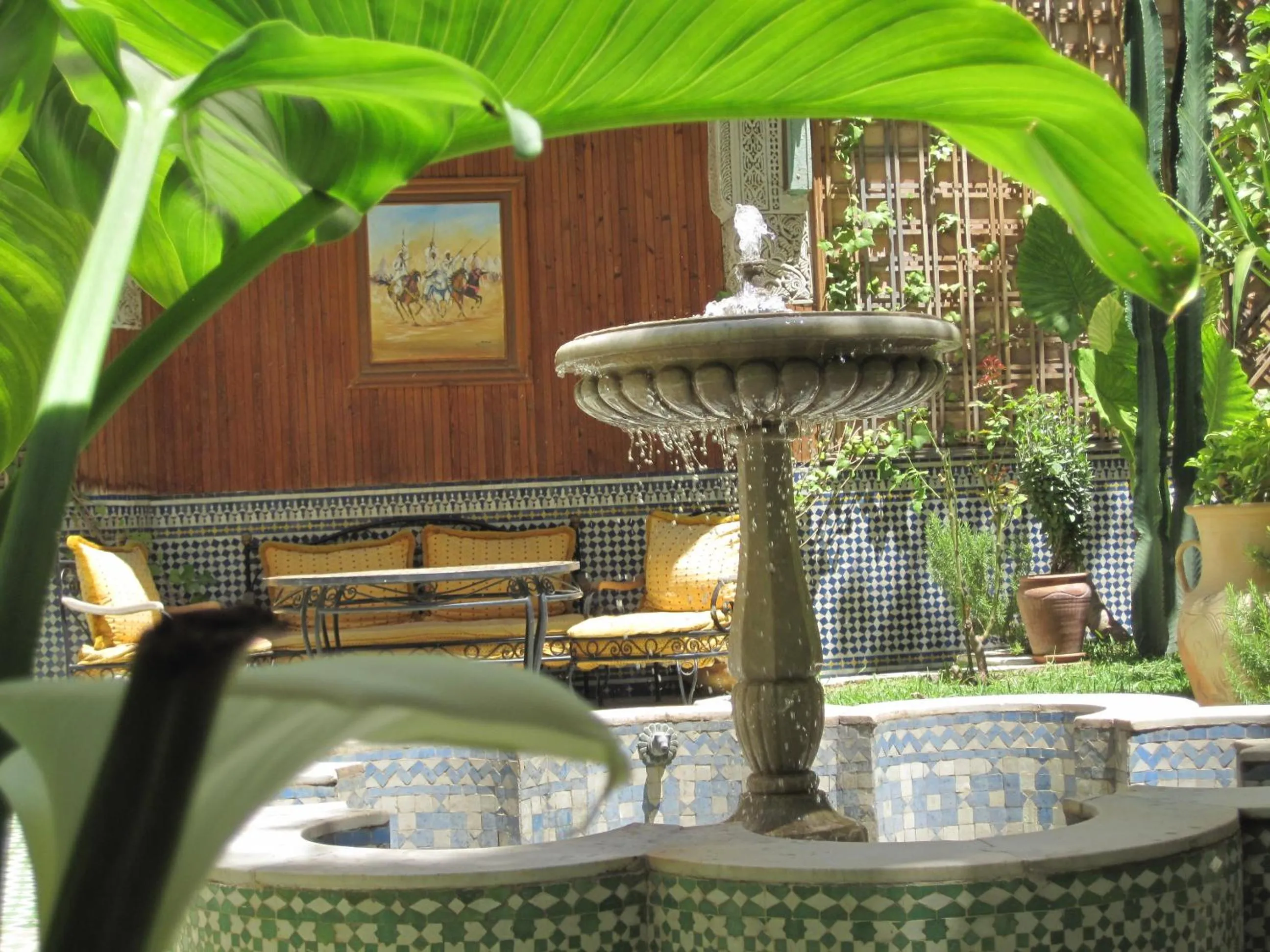 Garden view in Riad Jaouhara