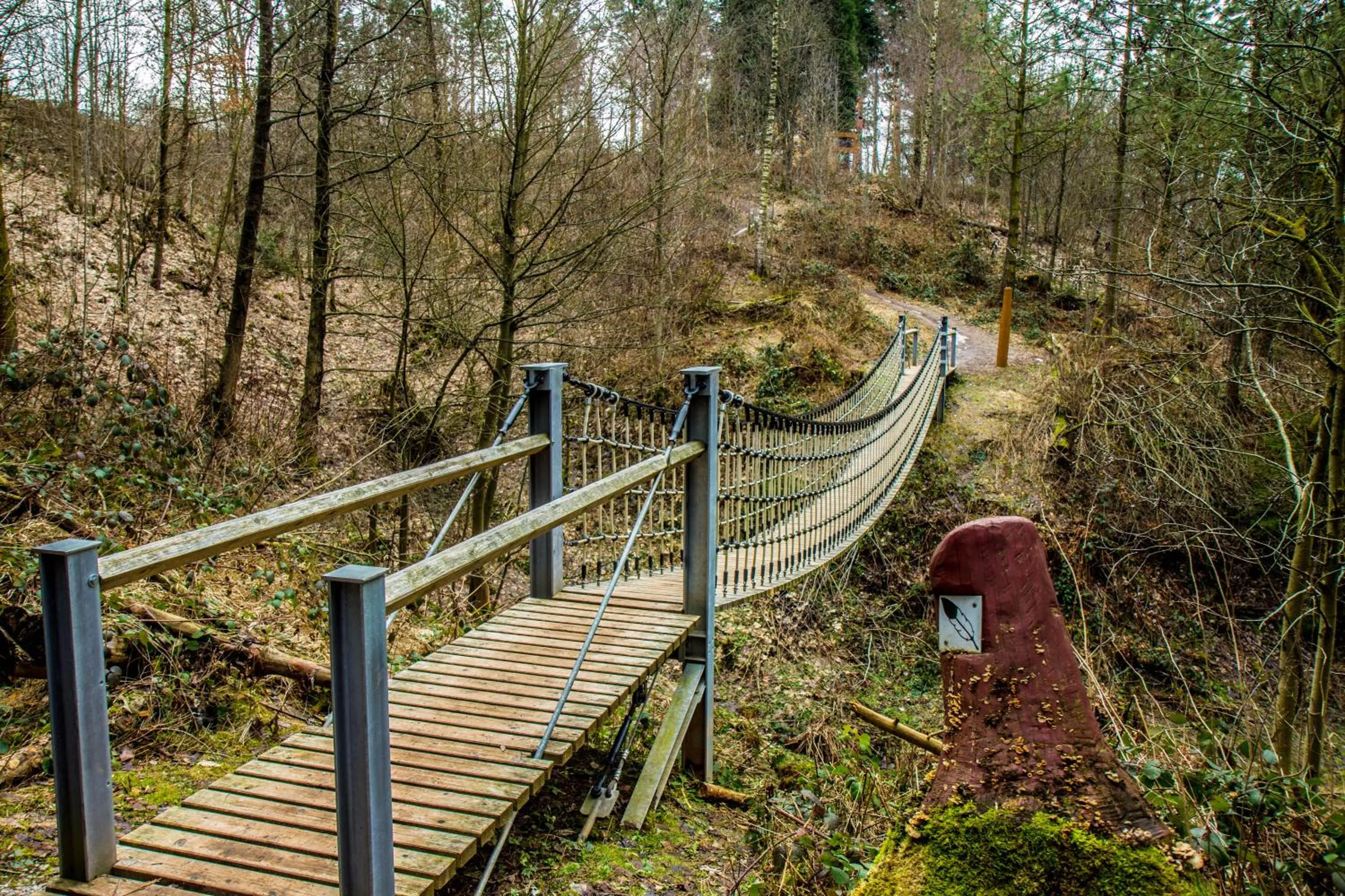 Activities in Welt Lodge