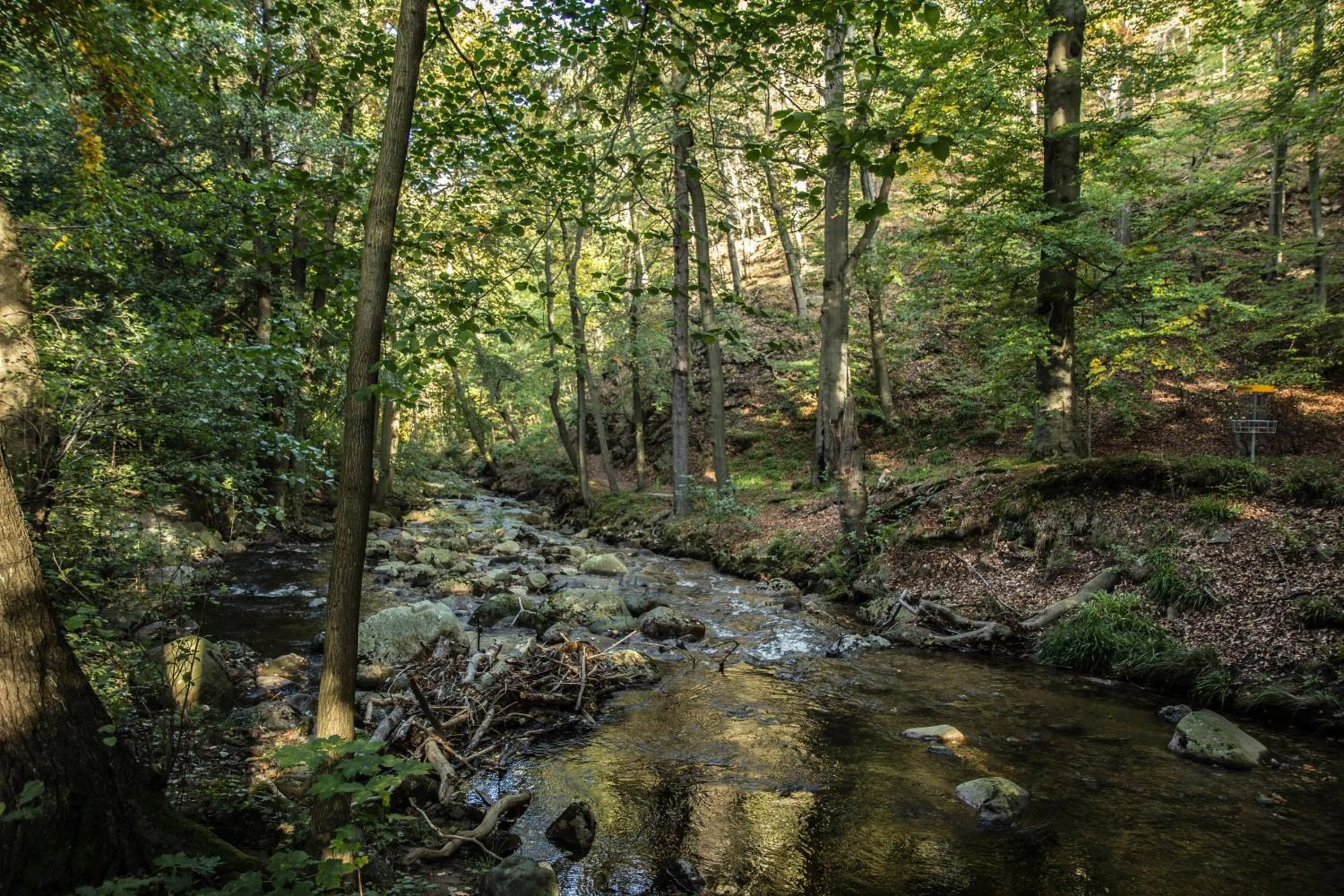 Activities in Welt Lodge