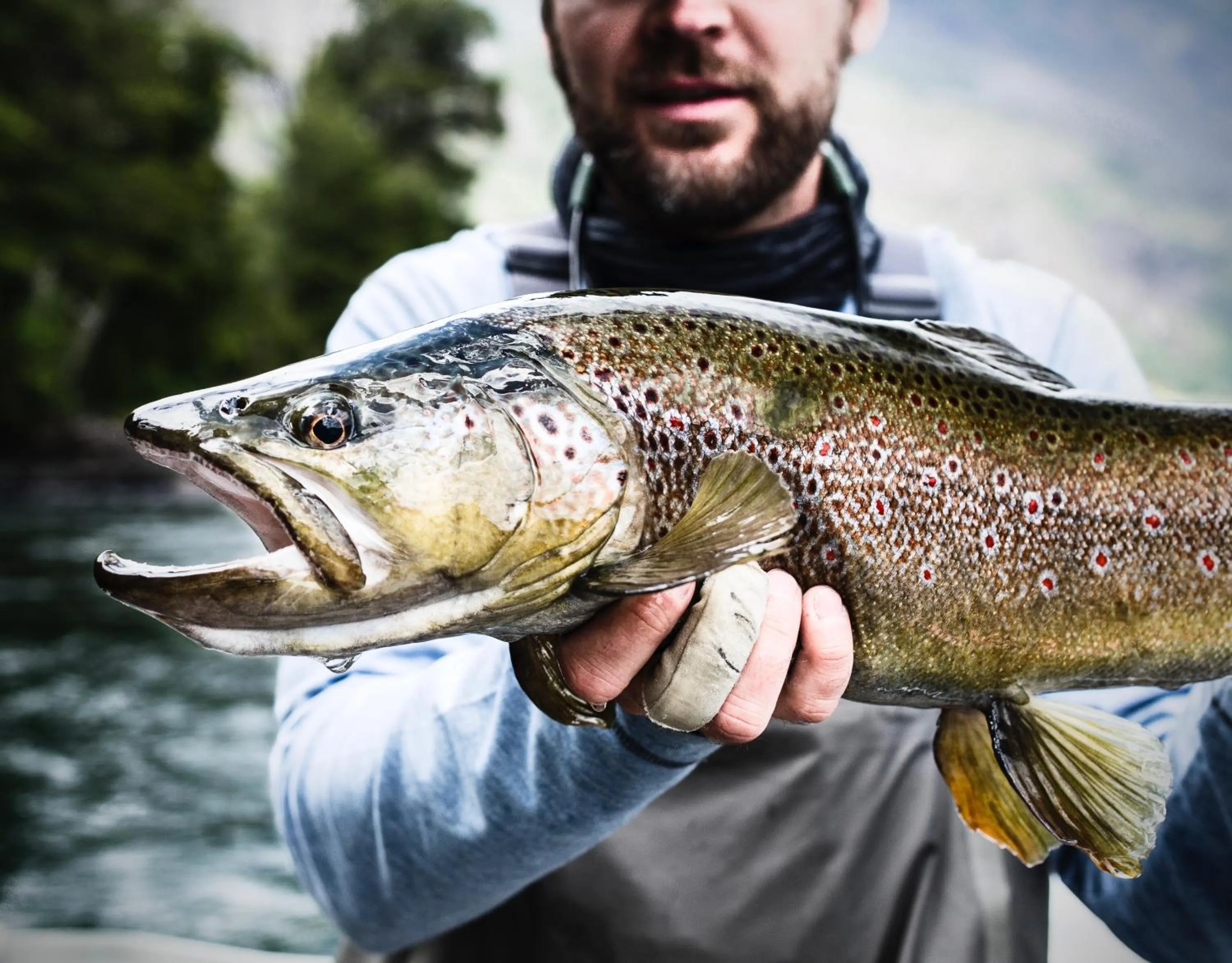 Sports in Yelcho en la Patagonia
