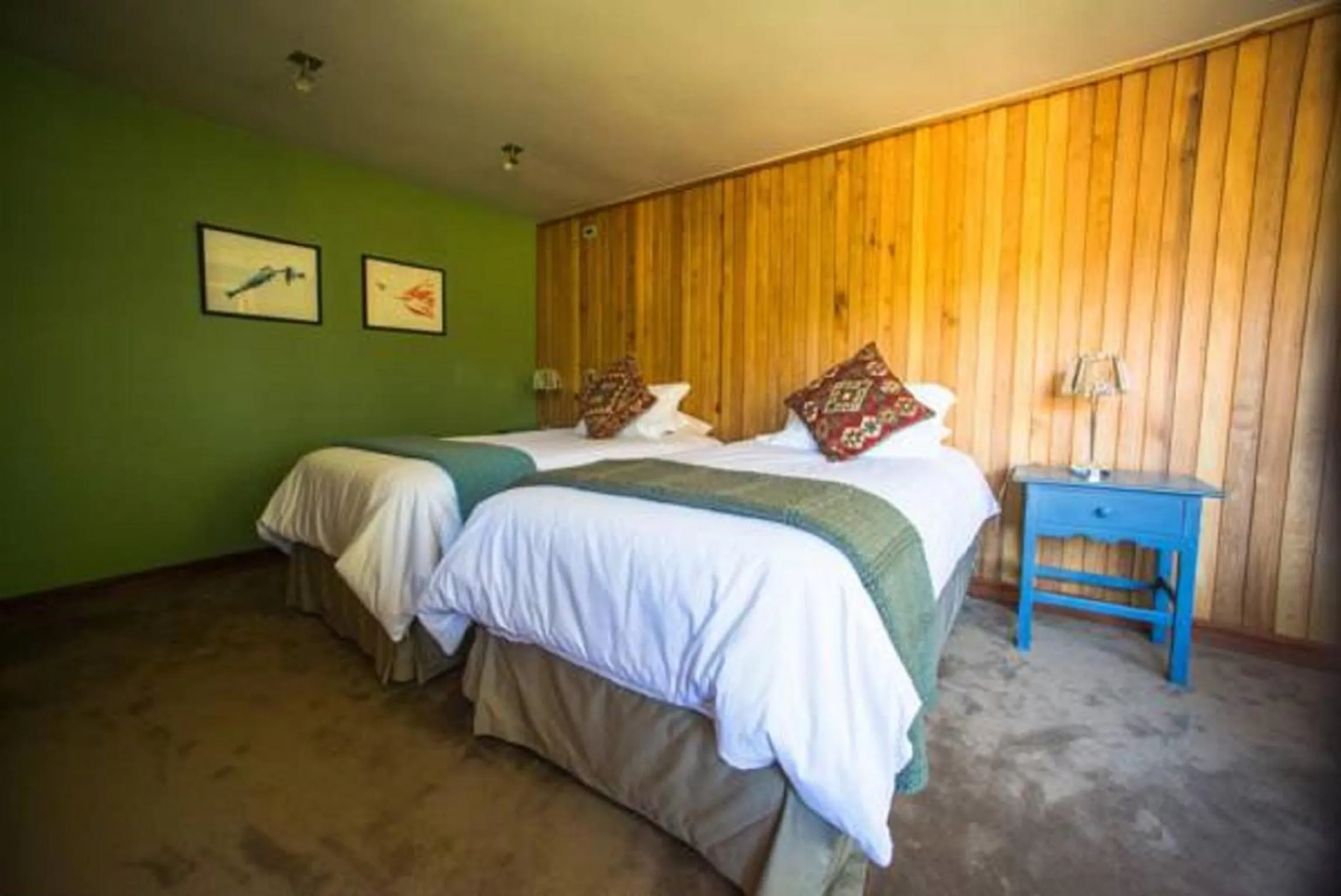 Bed in Yelcho en la Patagonia