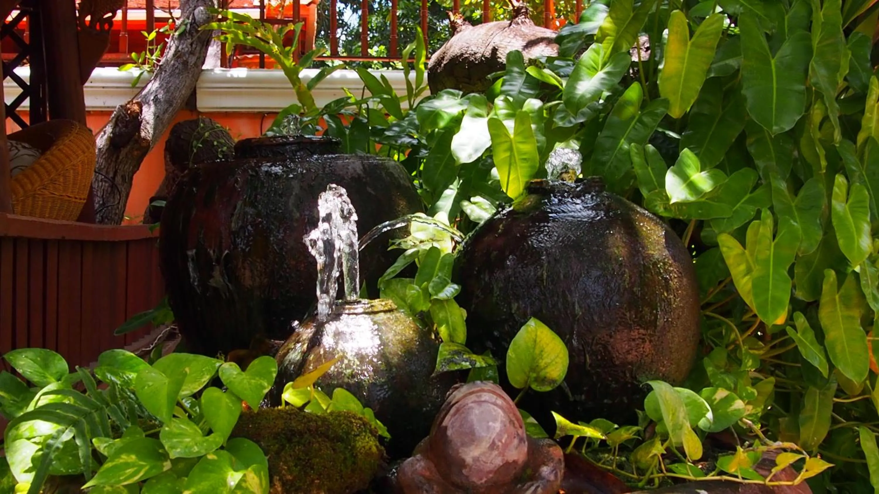 Day in Harry's Bungalows