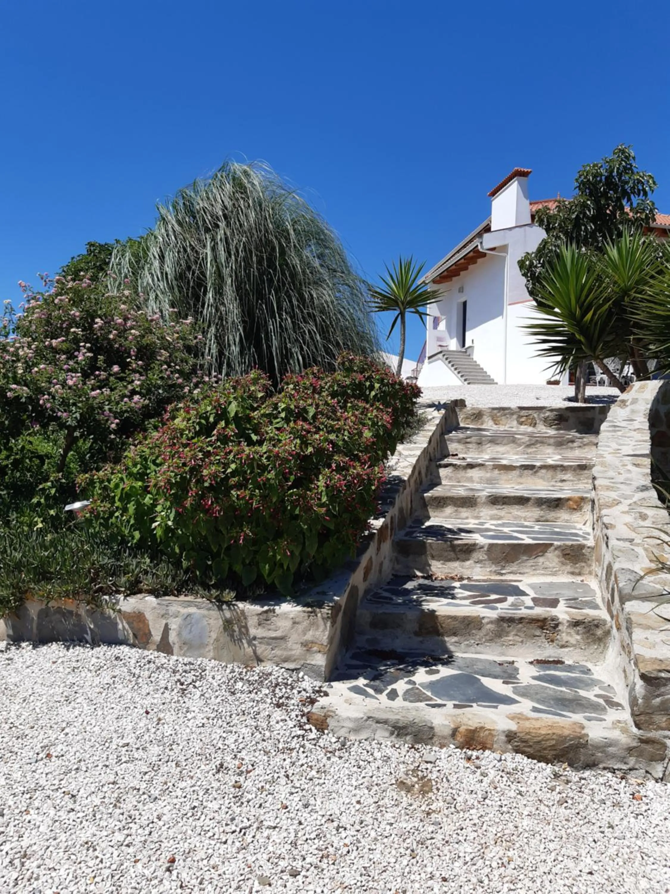 Garden in Quinta Quatro Ventos