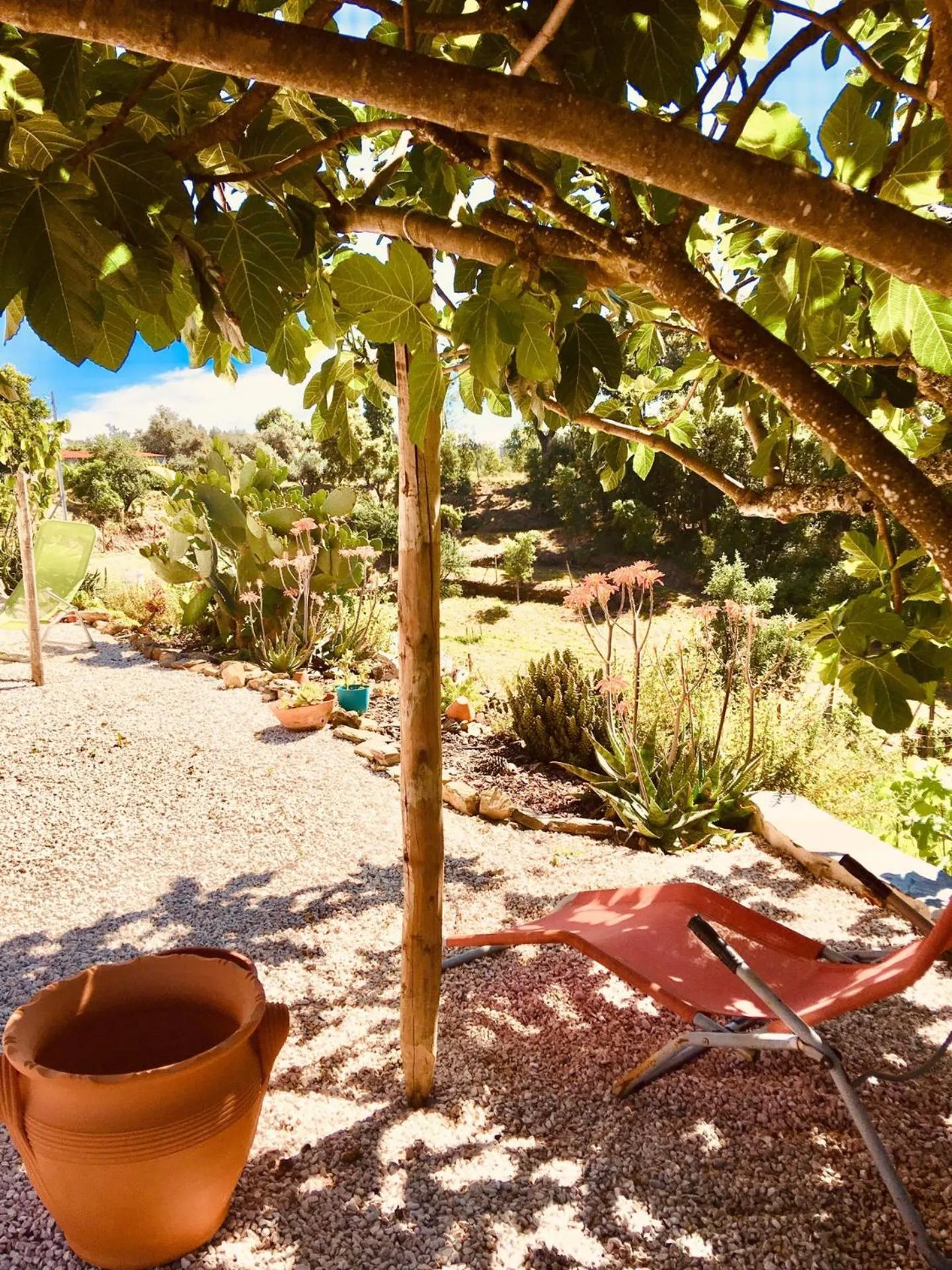 Garden in Quinta Quatro Ventos